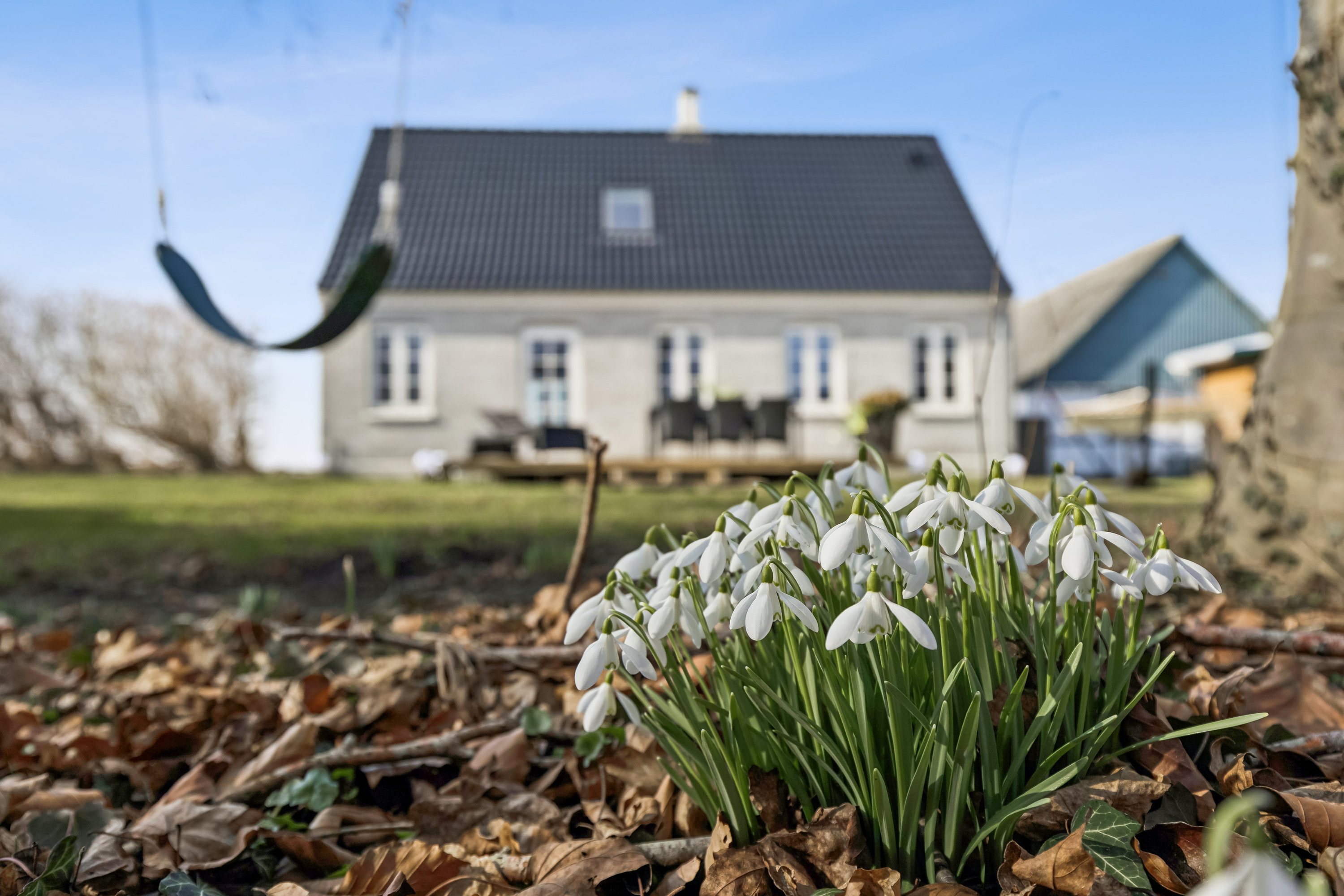 Fremhævet have billede i fuldskærmstilstand. Billede af Lundemarken 9, Sandby, 4520 Svinninge
