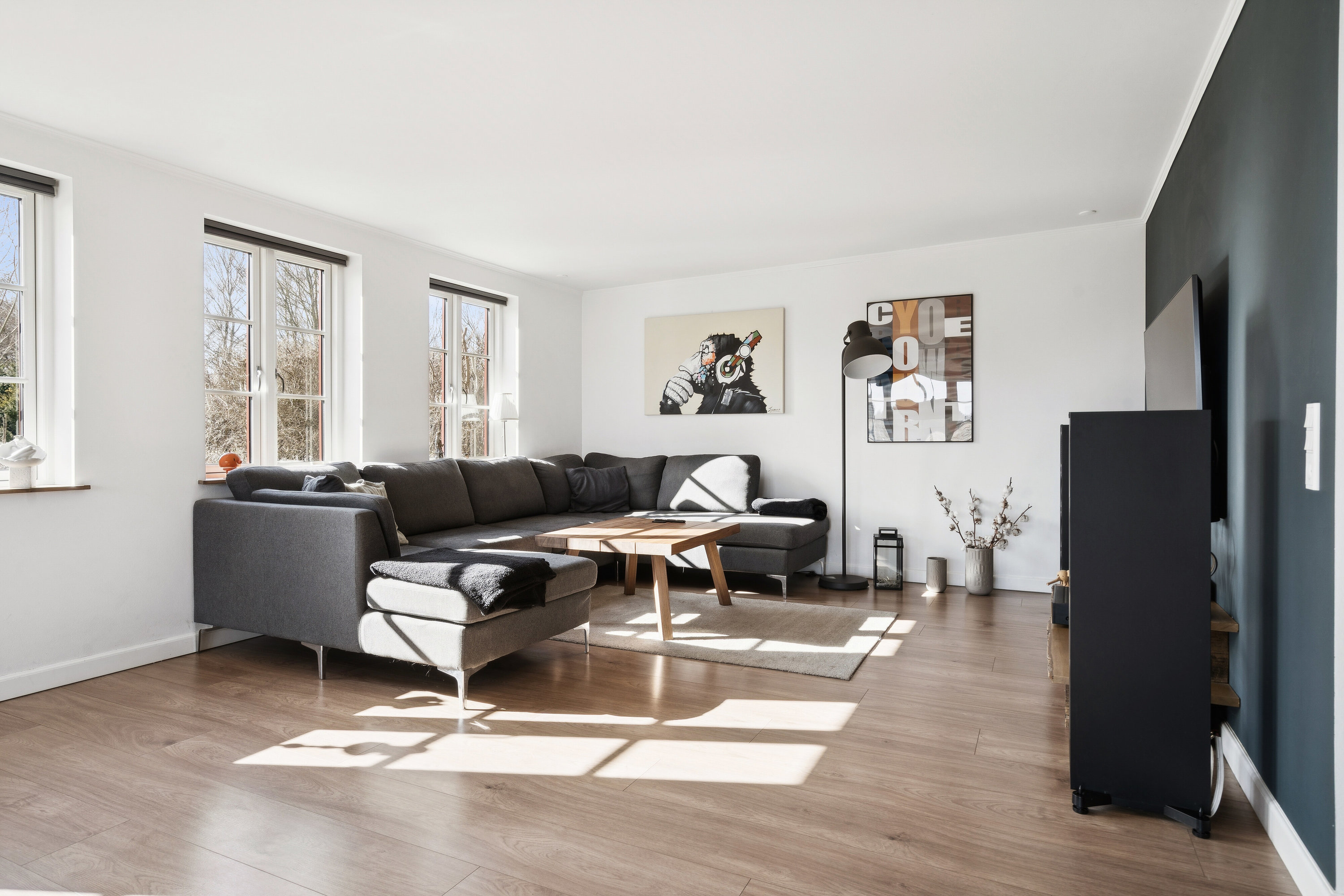 Fremhævet stue billede i fuldskærmstilstand. Billede af Langetoftevej 17, Agerup, 4700 Næstved