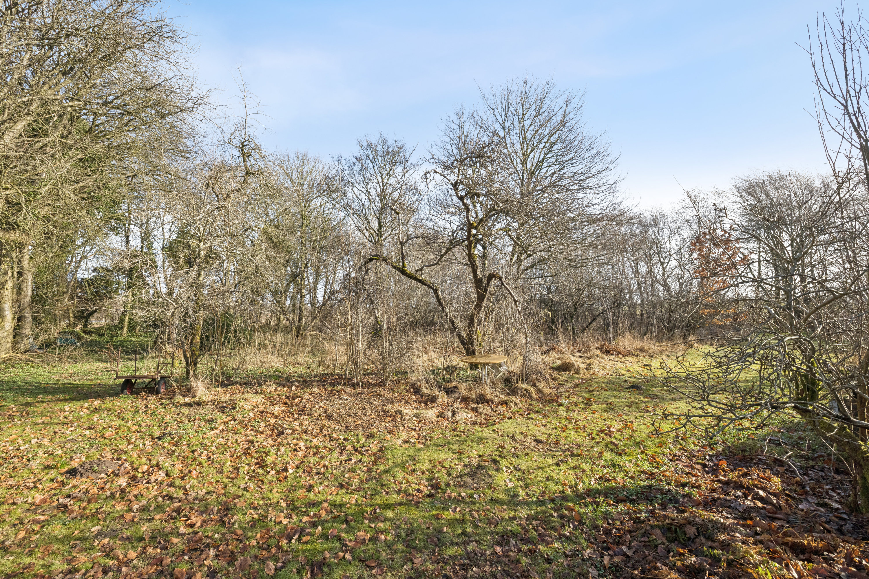 Fremhævet grund billede i fuldskærmstilstand. Billede af Kjeldbjergvej 1, Kjeldbjerg, 7800 Skive