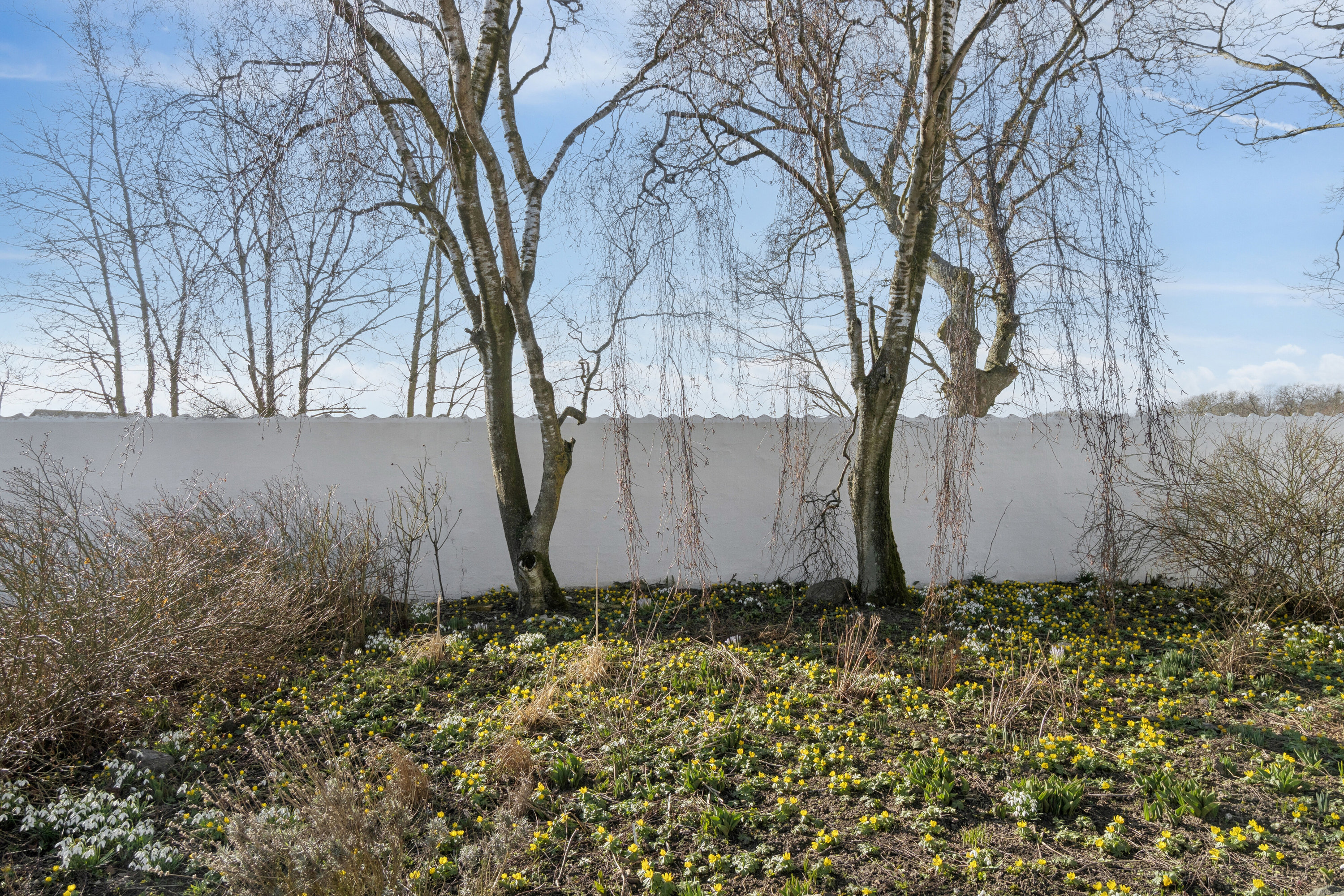 Fremhævet udendørs billede i fuldskærmstilstand. Billede af Rønnevej 118, Nylars, 3700 Rønne