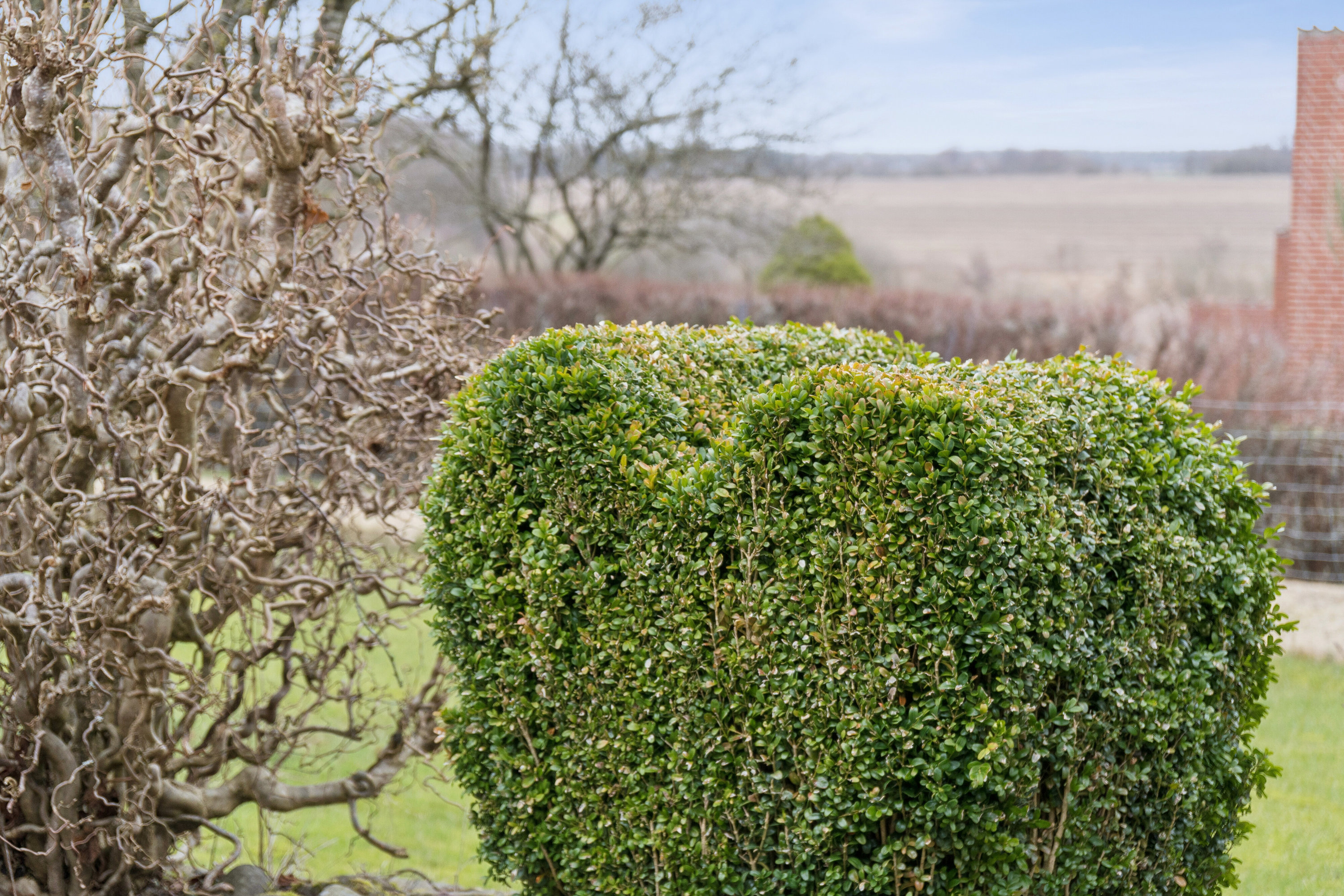 Fremhævet udendørs billede i fuldskærmstilstand. Billede af Bakken 101, 7441 Bording