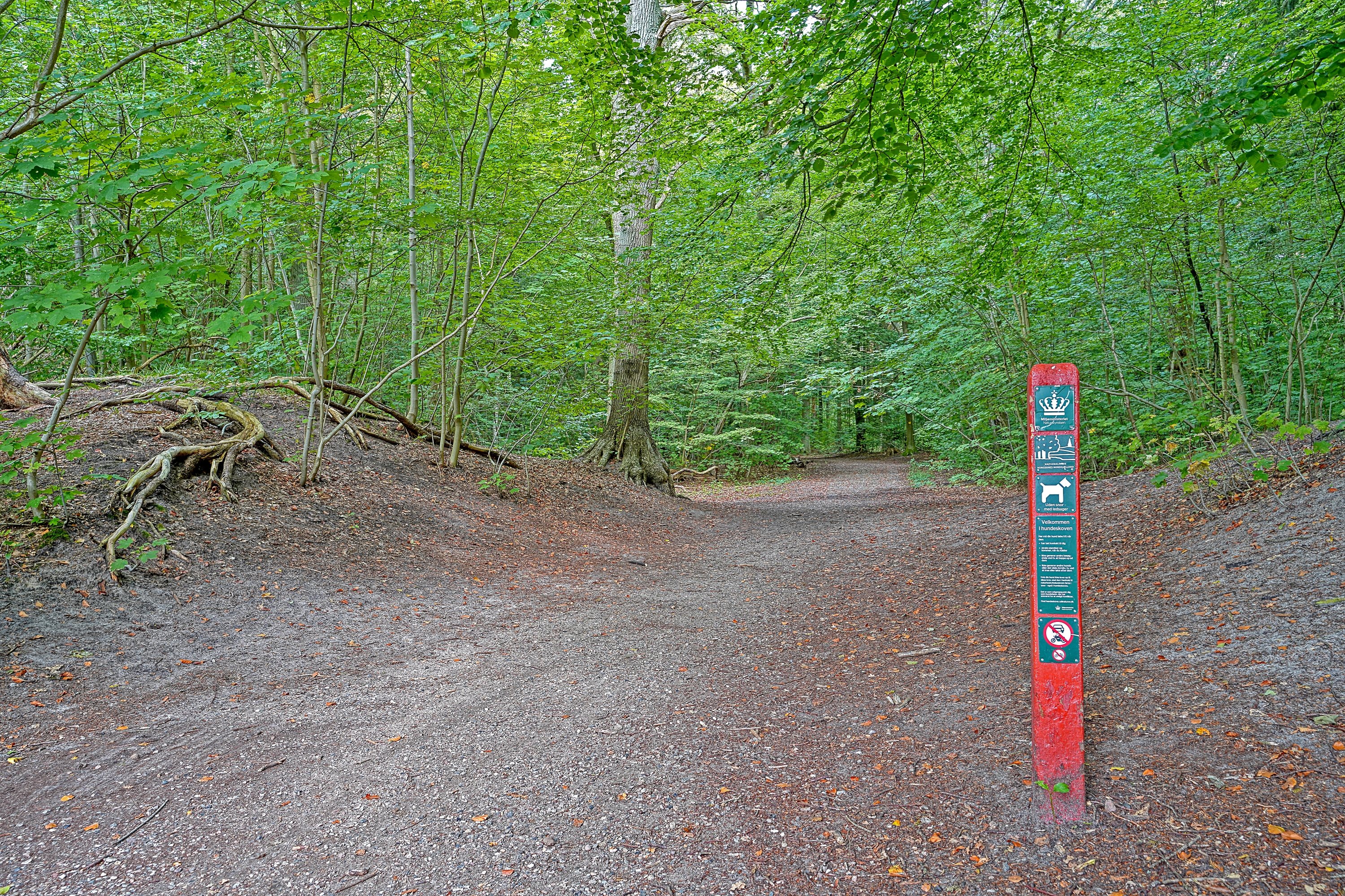 Toftemosevej 37, 3100 Hornbæk