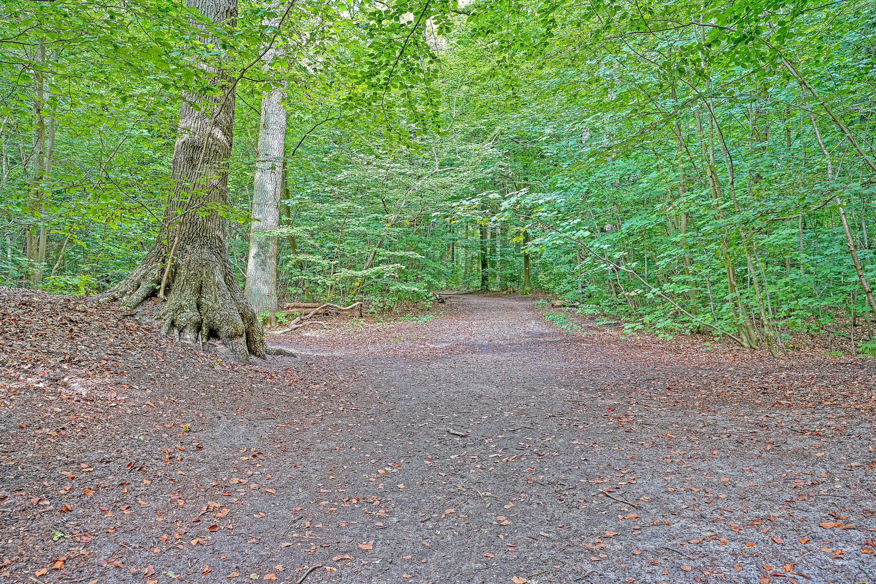 Fremhævet område billede i fuldskærmstilstand. Billede af Toftemosevej 37, 3100 Hornbæk