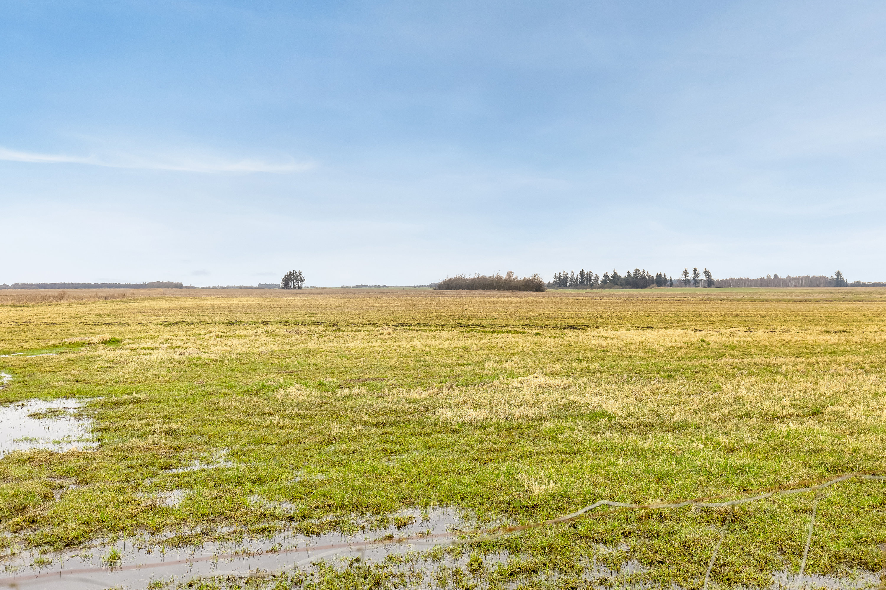 Fremhævet  billede i fuldskærmstilstand. Billede af Nørrehedevej 19, Østerby, 6280 Højer
