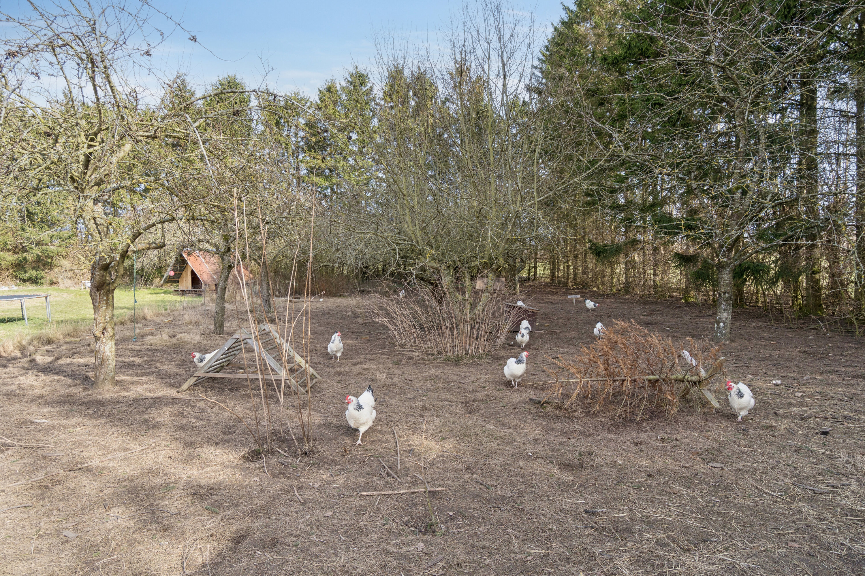 Fremhævet udendørs billede i fuldskærmstilstand. Billede af Eskesvej 9, Nyker, 3700 Rønne