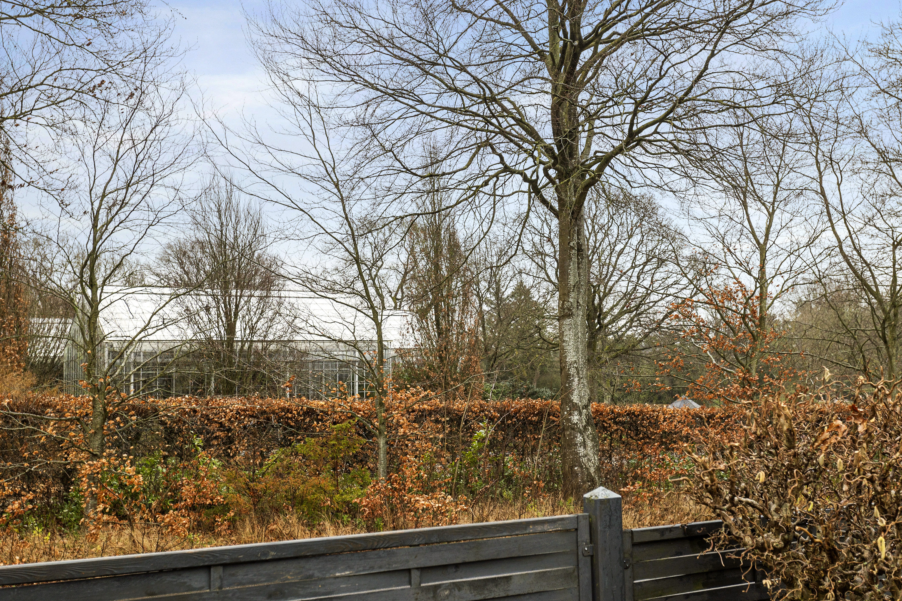 Fremhævet område billede i fuldskærmstilstand. Billede af Christoffer 2 Vej 62, 6000 Kolding