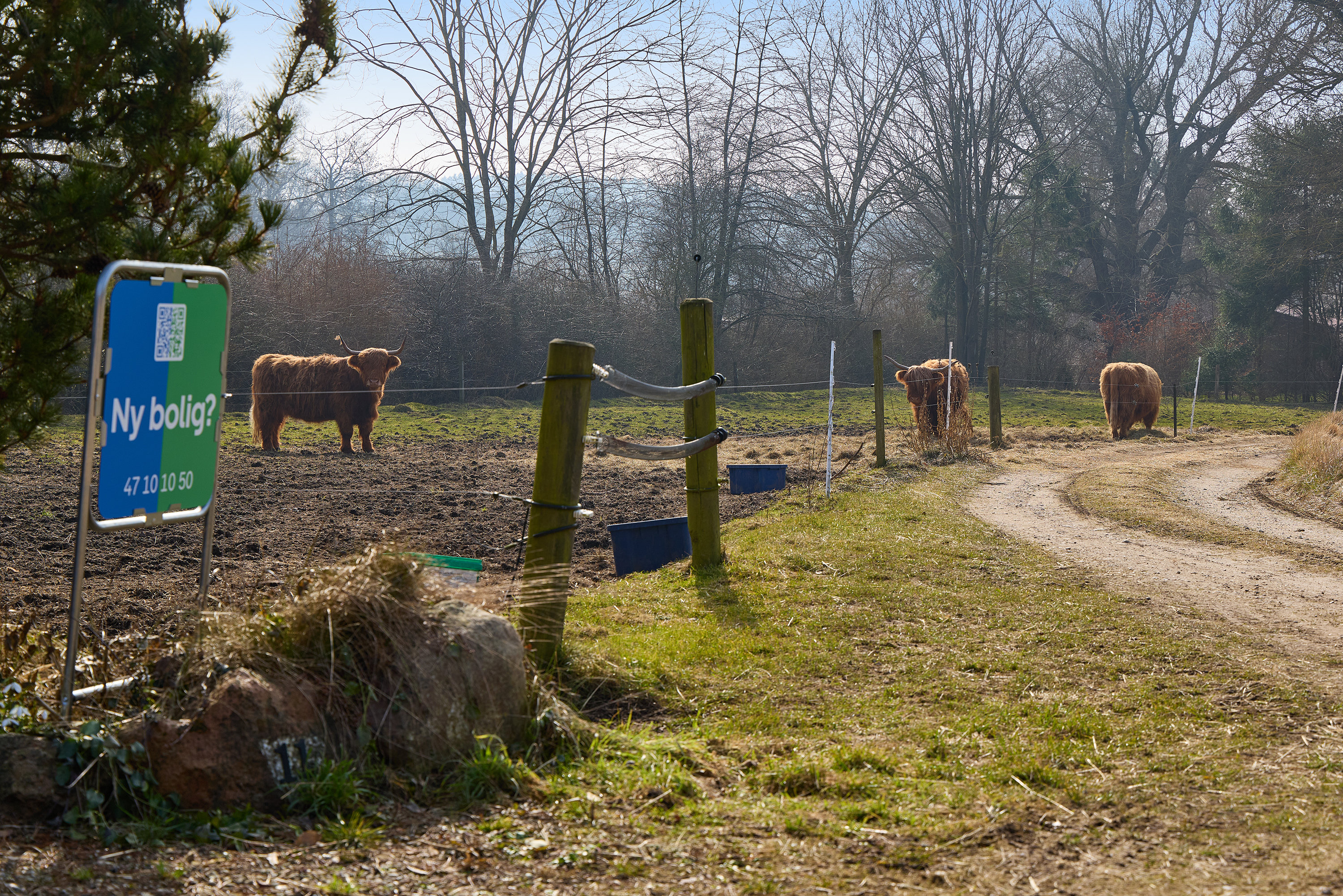Fremhævet område billede i fuldskærmstilstand. Billede af Lille Veksøvej 11, 3670 Veksø Sjælland