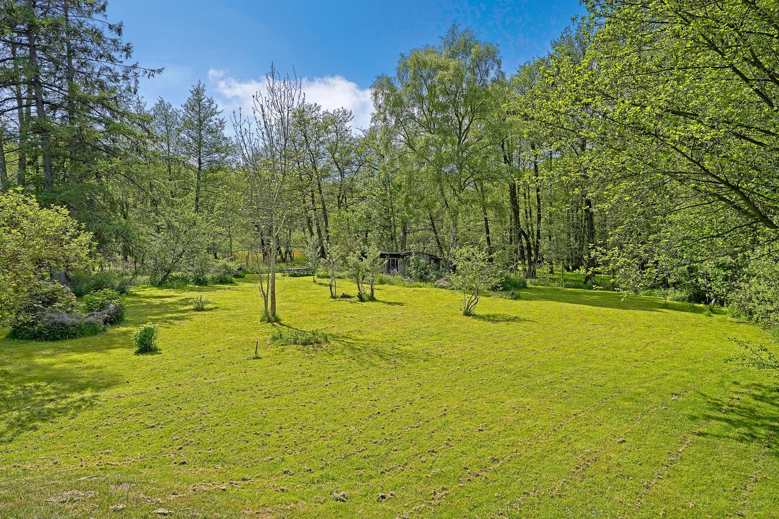 Fremhævet have billede i fuldskærmstilstand. Billede af Gl Havreholmvej 18, 3100 Hornbæk