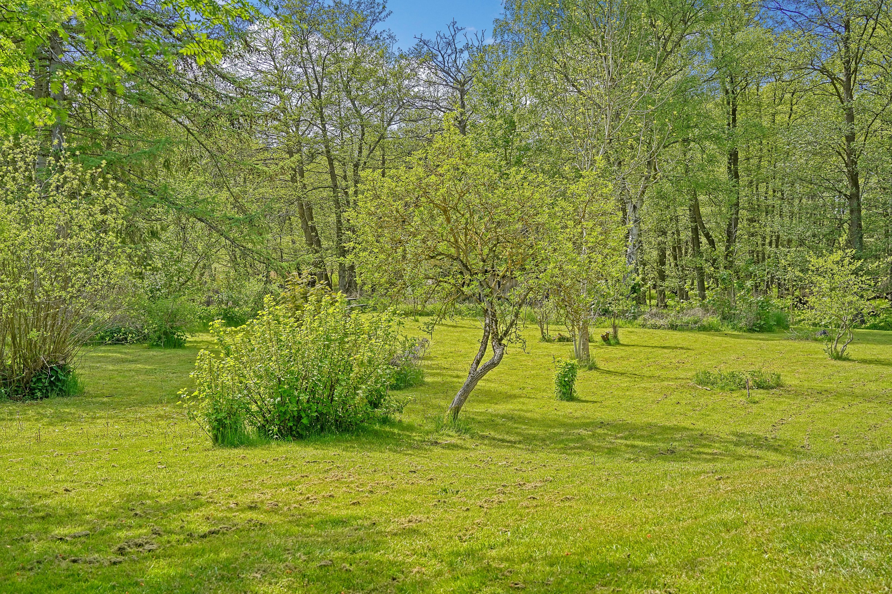 Fremhævet have billede i fuldskærmstilstand. Billede af Gl Havreholmvej 18, 3100 Hornbæk