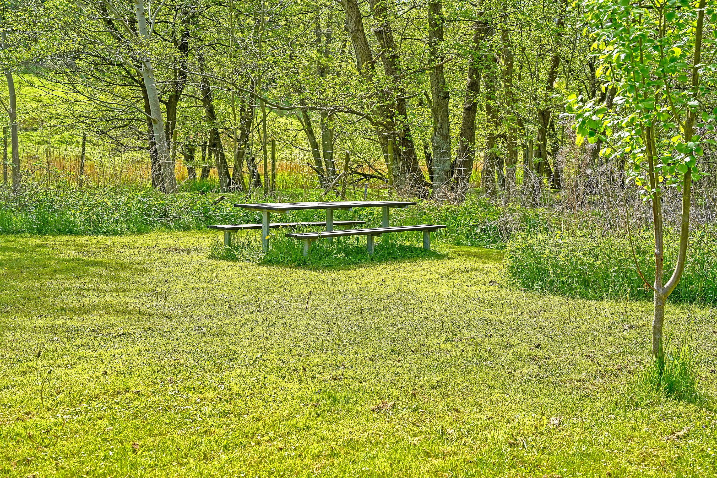 Fremhævet have billede i fuldskærmstilstand. Billede af Gl Havreholmvej 18, 3100 Hornbæk