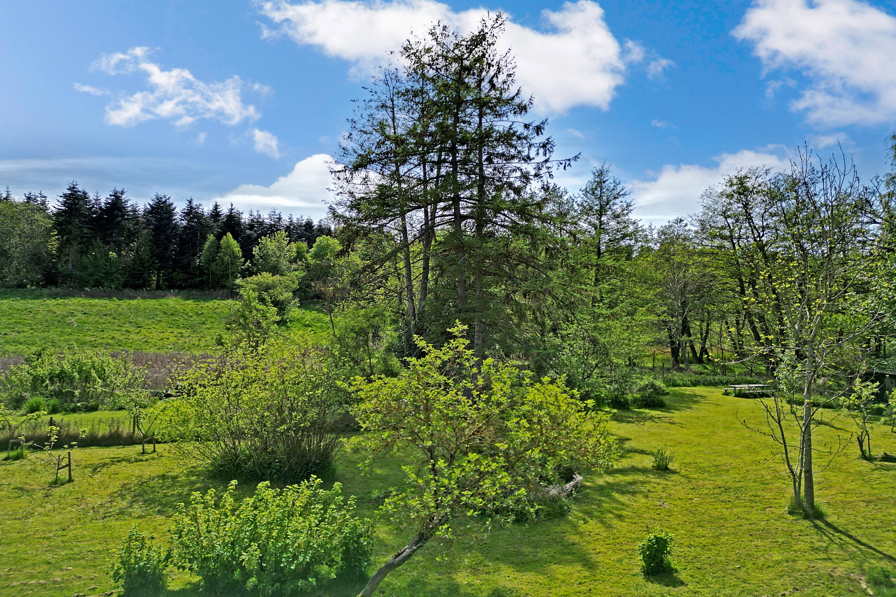 Fremhævet luftfoto billede i fuldskærmstilstand. Billede af Gl Havreholmvej 18, 3100 Hornbæk