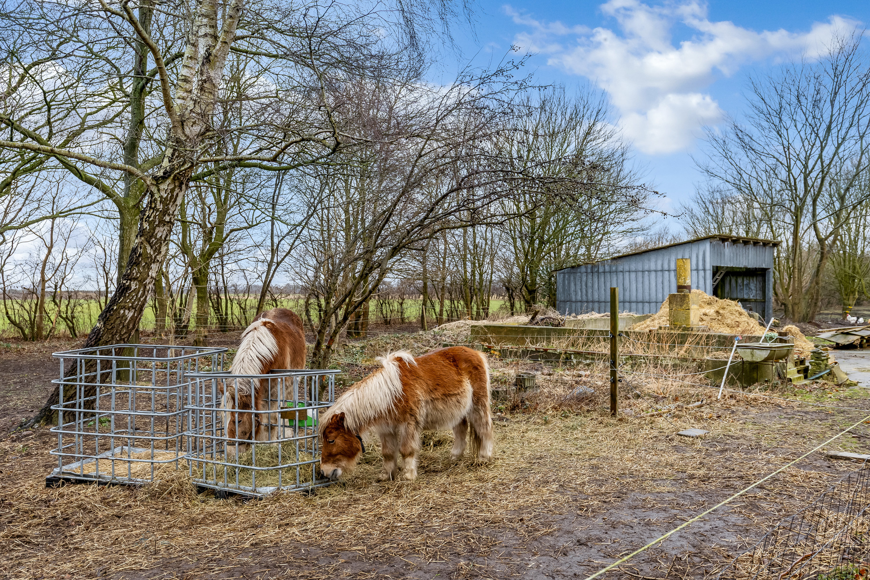 Fremhævet have billede i fuldskærmstilstand. Billede af Visbjergvej 21, Visbjerg, 6240 Løgumkloster