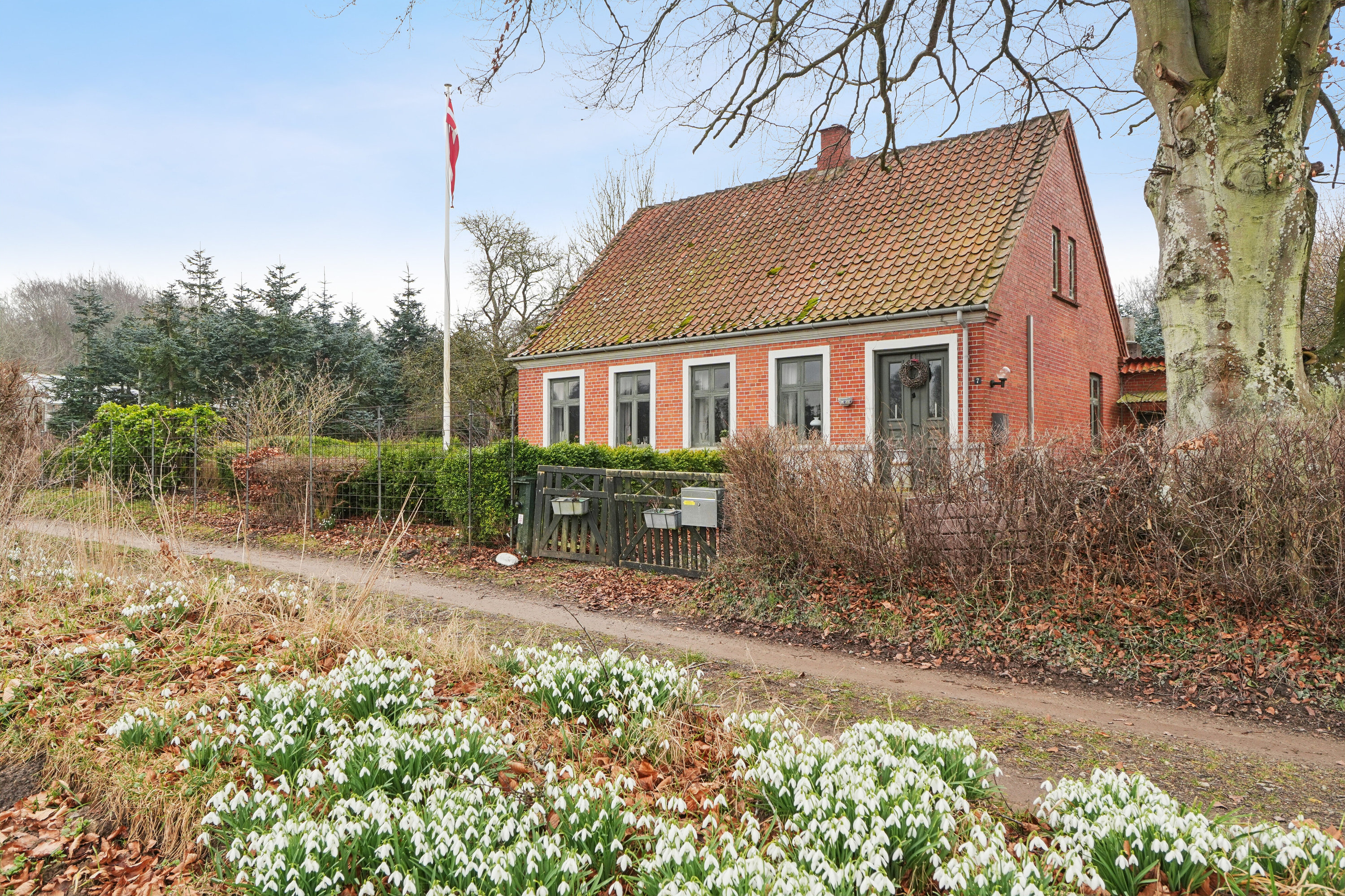 Fremhævet set fra vejen billede i fuldskærmstilstand. Billede af Vesterhusevej 7, Vesterhuse, 5953 Tranekær