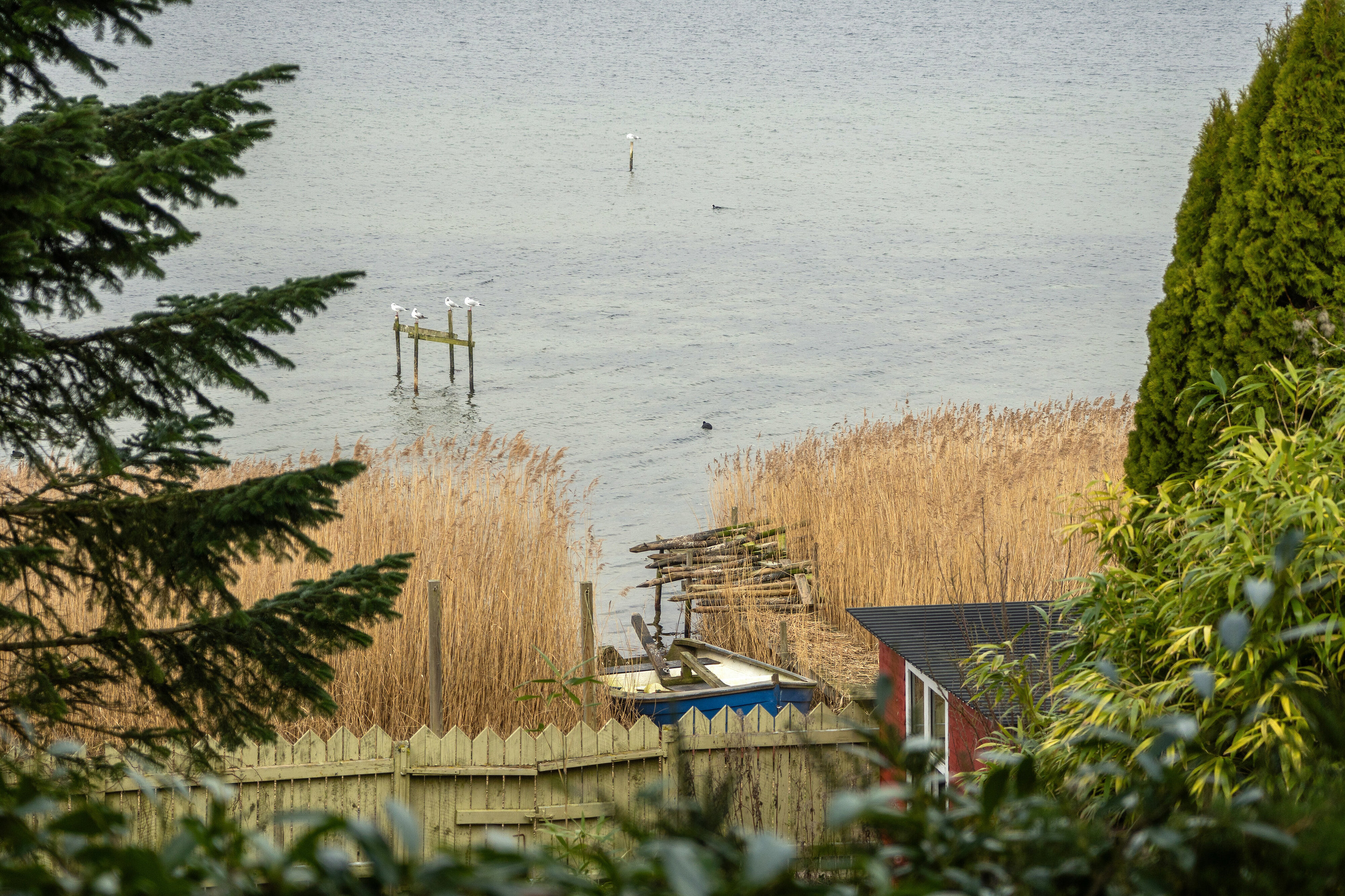 Fremhævet udsigt billede i fuldskærmstilstand. Billede af Bülowsvej 22, 4230 Skælskør