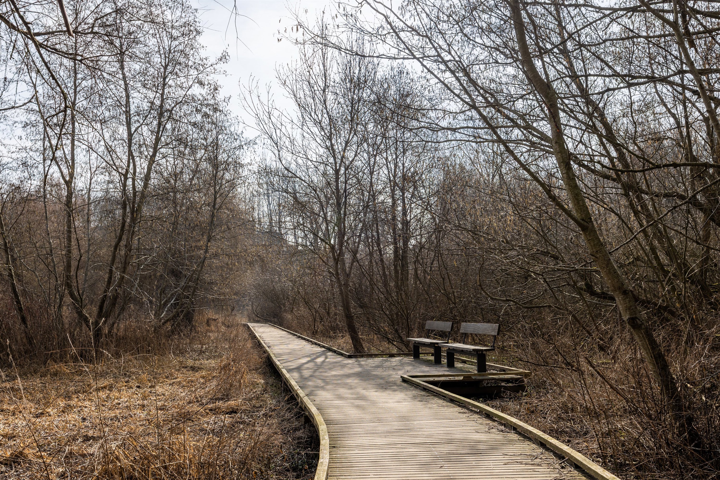 Fremhævet andet billede i fuldskærmstilstand. Billede af Ermelundsvej 112B, 2820 Gentofte