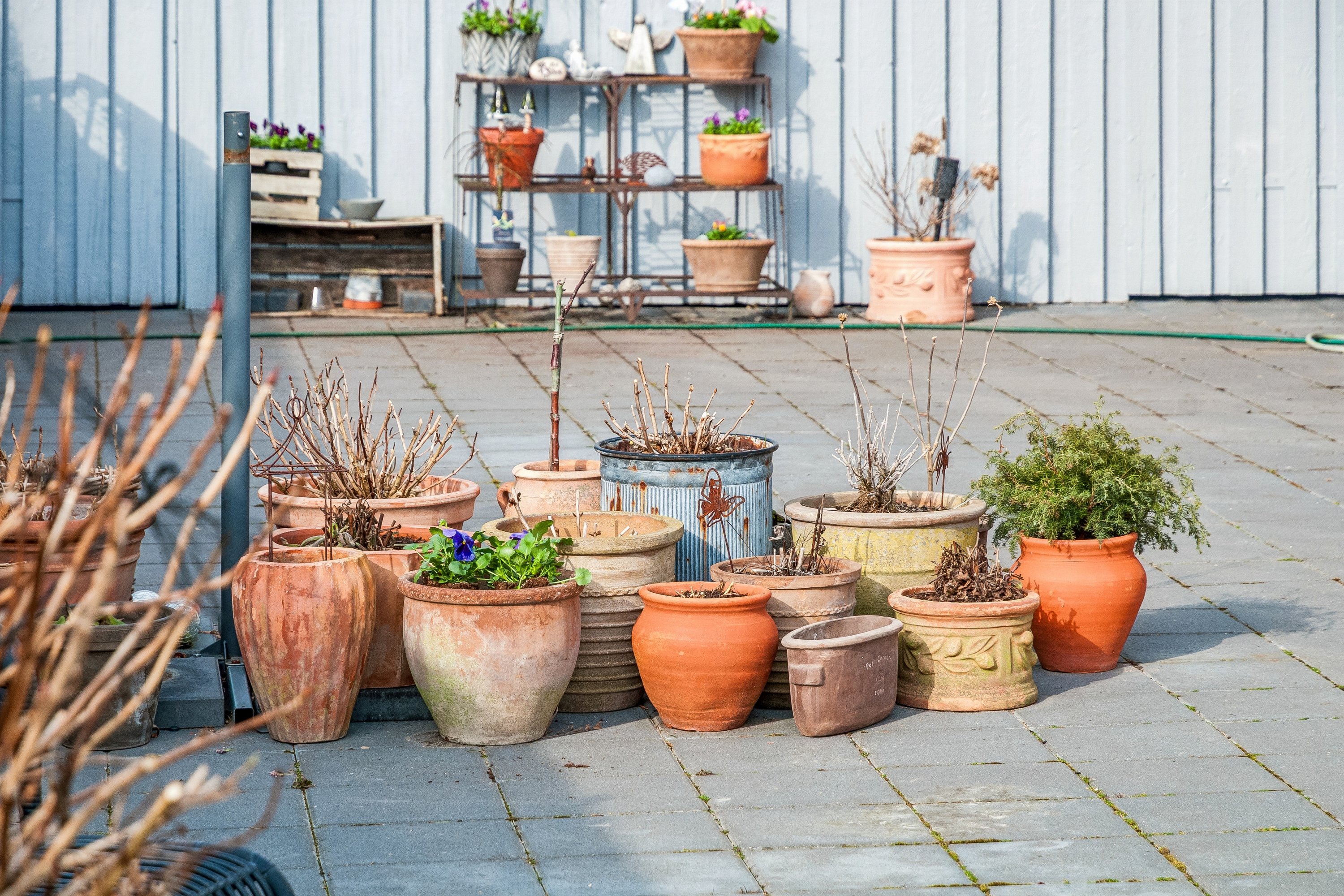 Fremhævet terrasse billede i fuldskærmstilstand. Billede af Tømmerupvang 63, 2770 Kastrup
