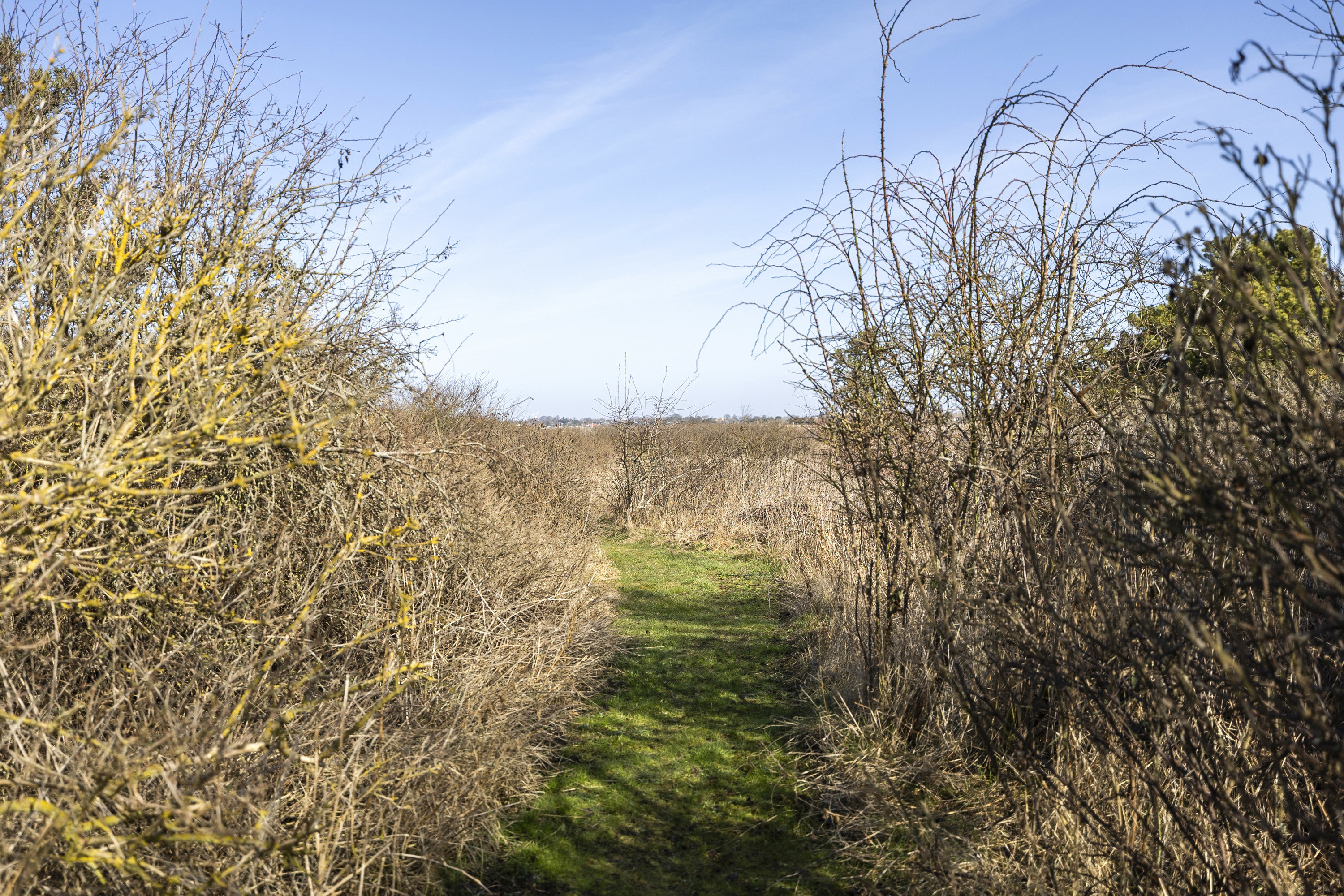 Fremhævet område billede i fuldskærmstilstand. Billede af Broholmvej 75, Frølunde Fed, 4220 Korsør