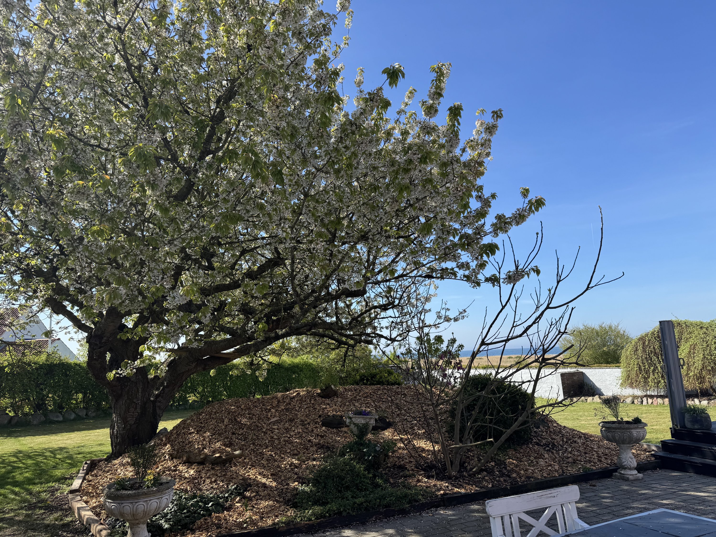 Fremhævet  billede i fuldskærmstilstand. Billede af Drejet 5, Torø Huse, 5610 Assens