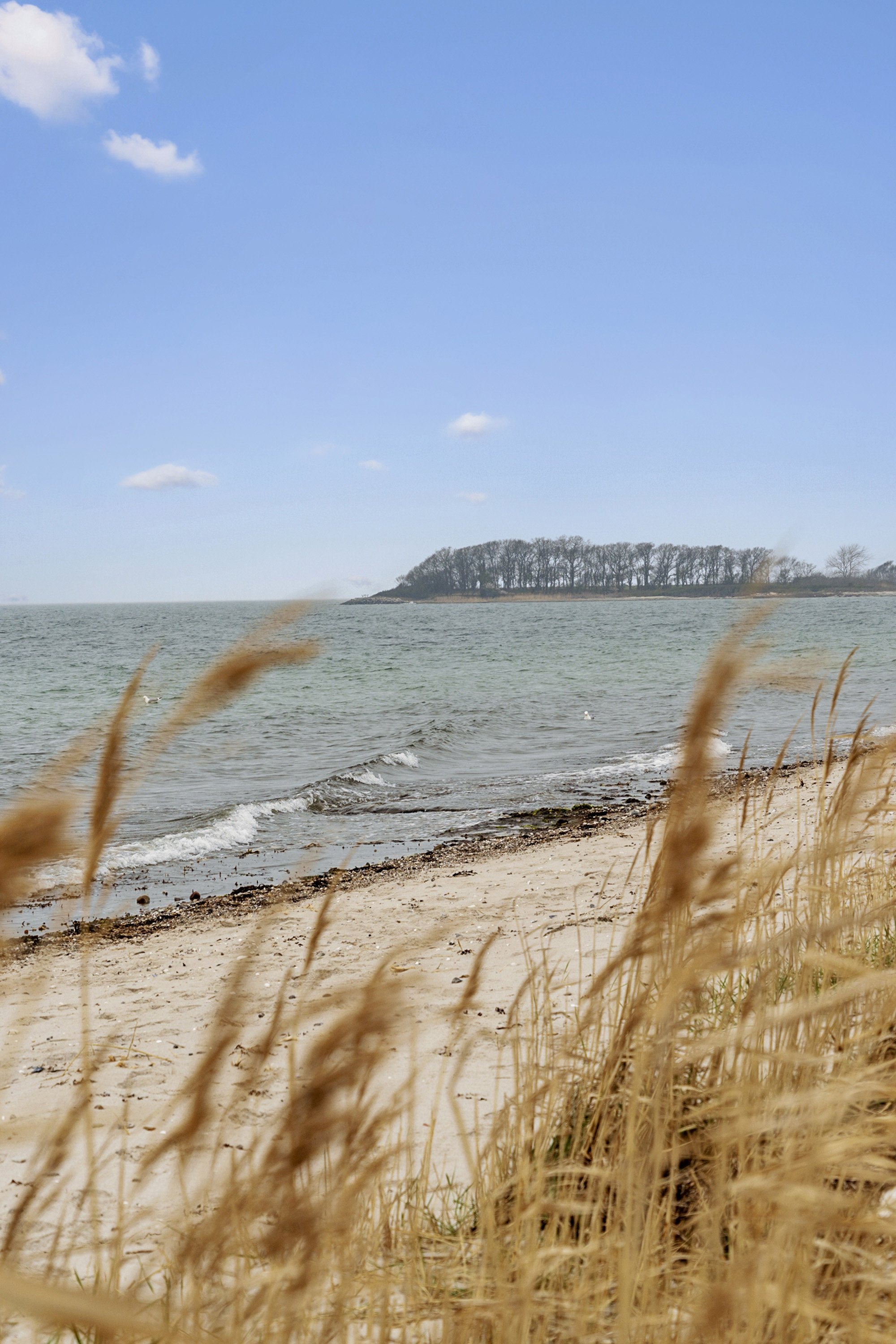 Fremhævet  billede i fuldskærmstilstand. Billede af Drejet 5, Torø Huse, 5610 Assens