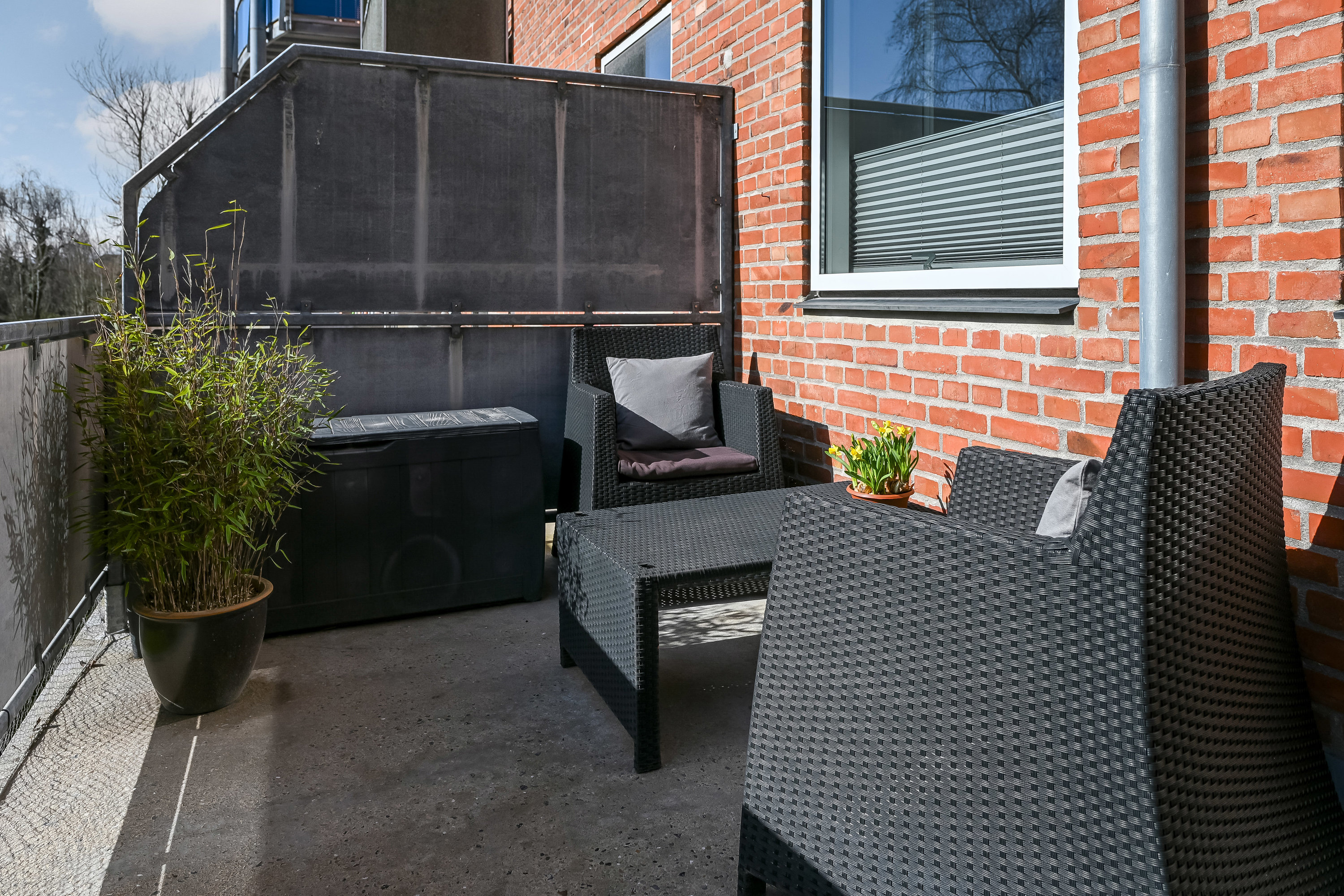 Fremhævet terrasse billede i fuldskærmstilstand. Billede af Skjoldsgade 16B, st.. tv., 6700 Esbjerg