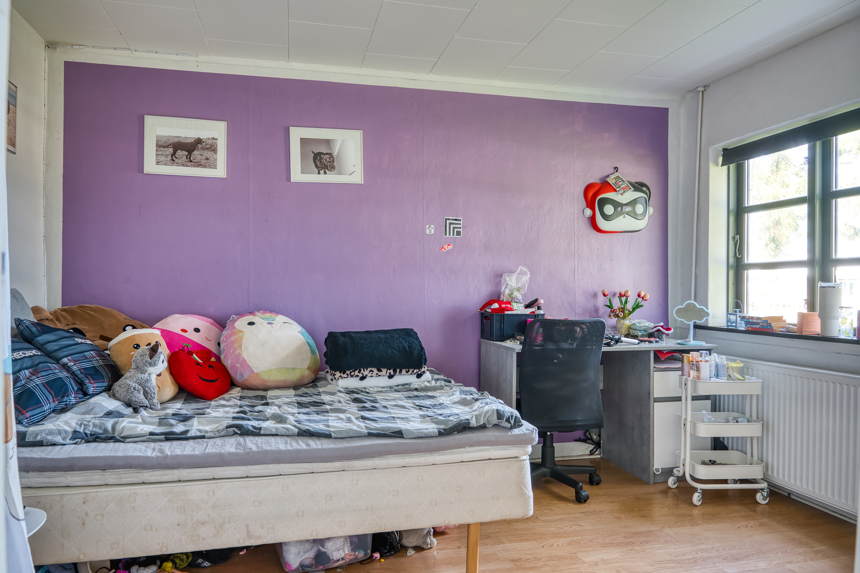 Fremhævet værelse billede i fuldskærmstilstand. Billede af Gl. Landevej 15A, Toreby, 4891 Toreby L