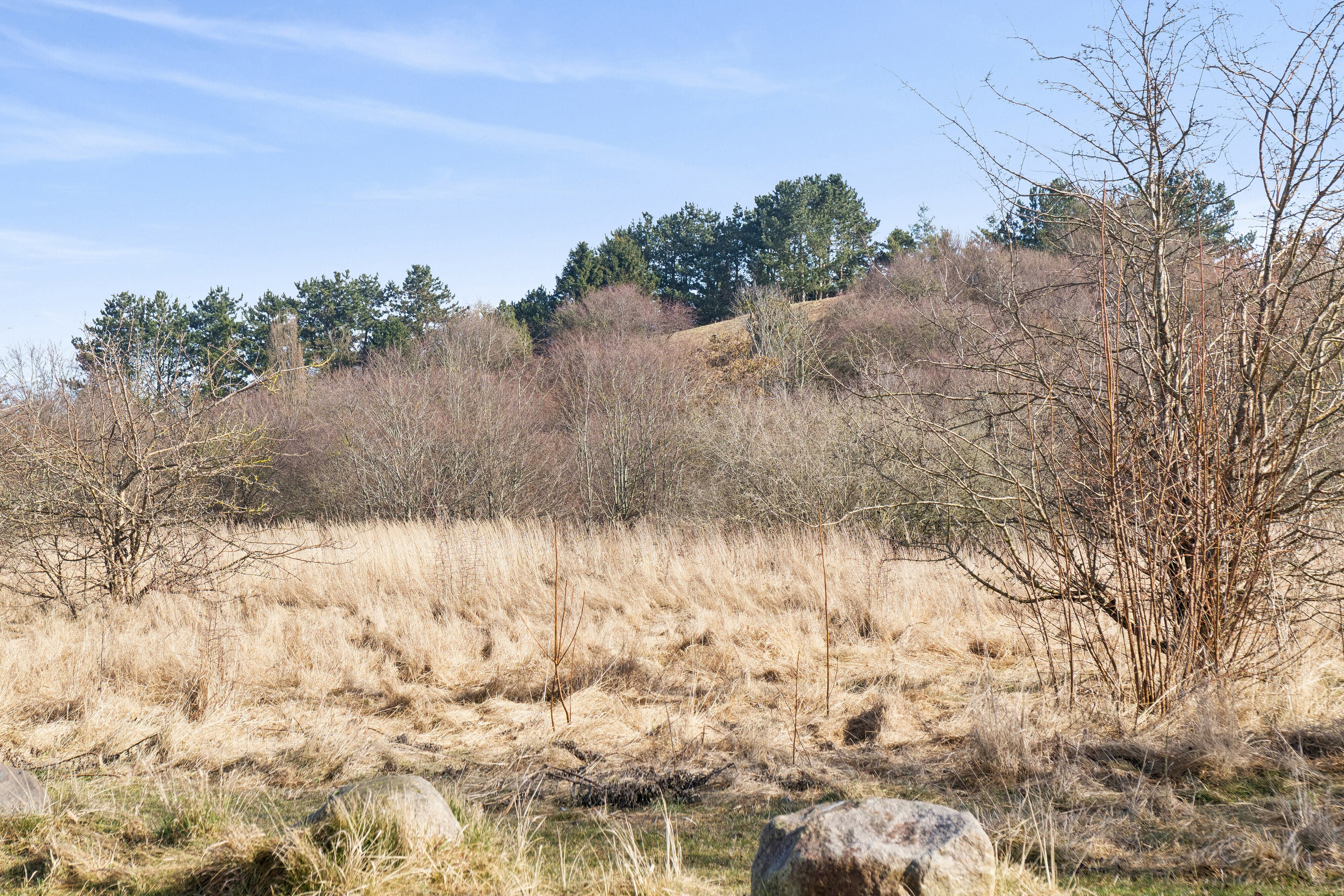 Fremhævet udendørs billede i fuldskærmstilstand. Billede af Nordre Kystagervej 38, 2650 Hvidovre