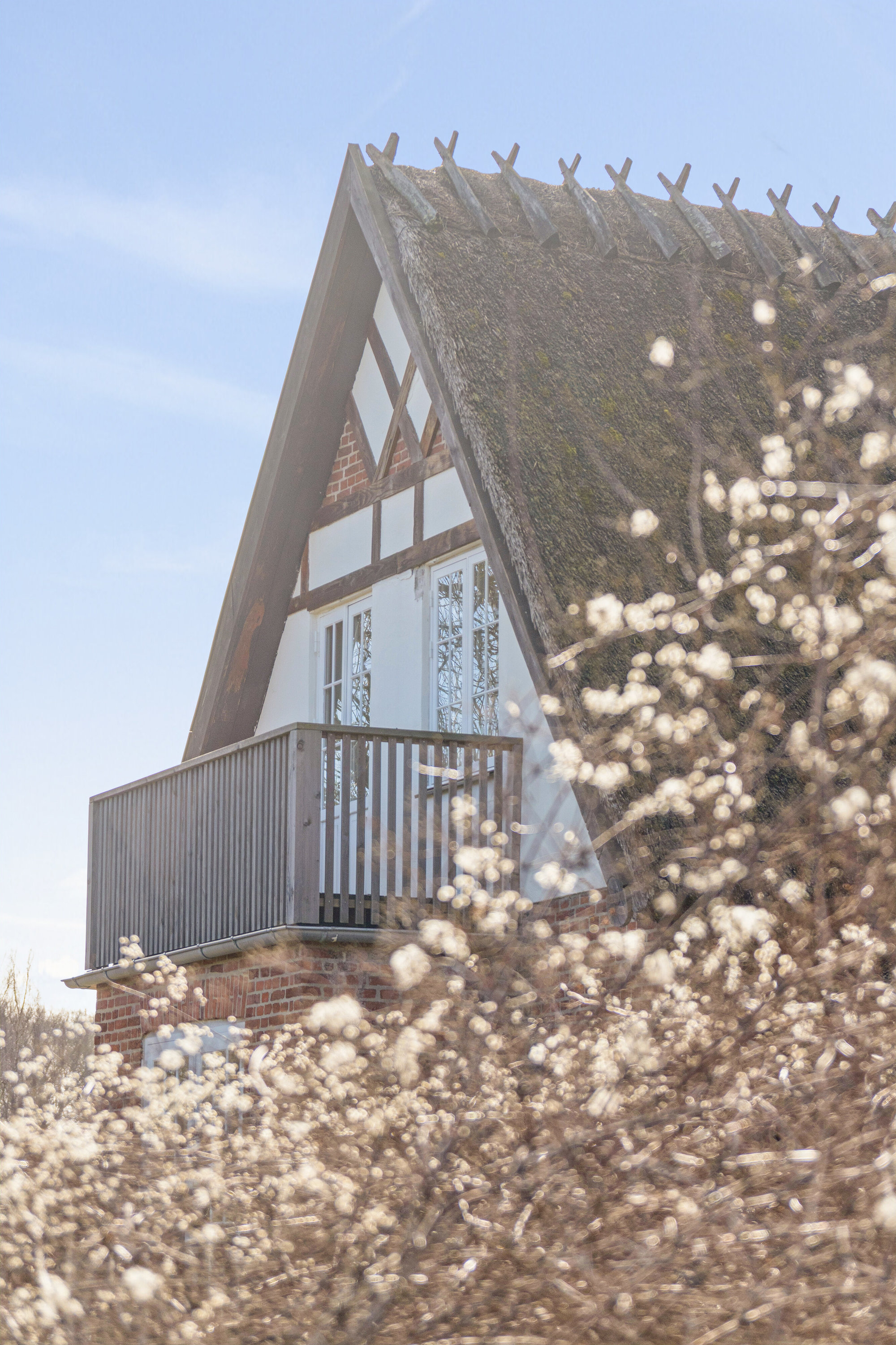 Fremhævet udendørs billede i fuldskærmstilstand. Billede af Højbjerggårdsvej 63, Øverød, 2840 Holte