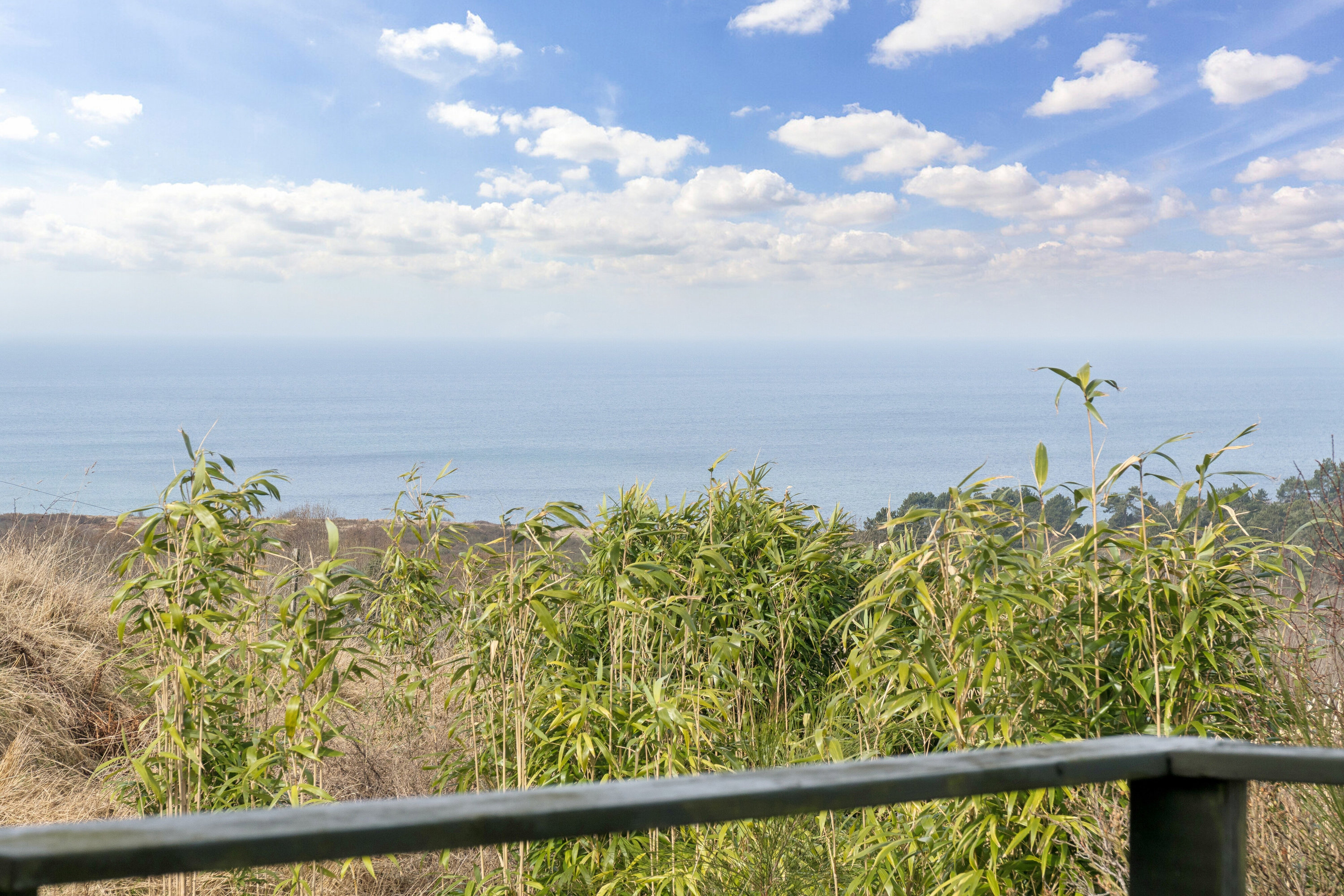 Fremhævet set fra haven billede i fuldskærmstilstand. Billede af Varhøj 15, Veddinge, 4540 Fårevejle