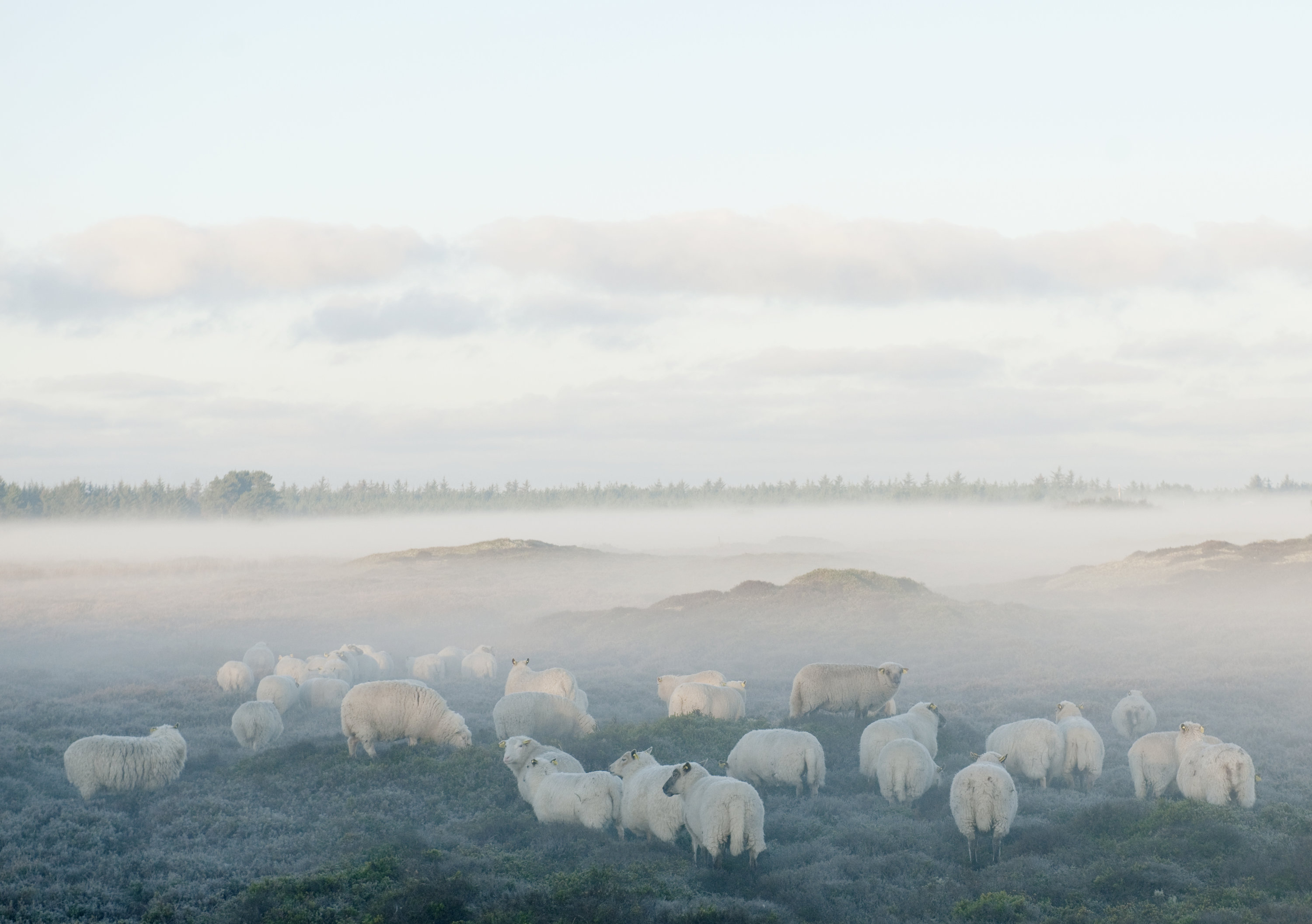 Fremhævet  billede i fuldskærmstilstand. Billede af Mågevej 35, Agger, 7770 Vestervig