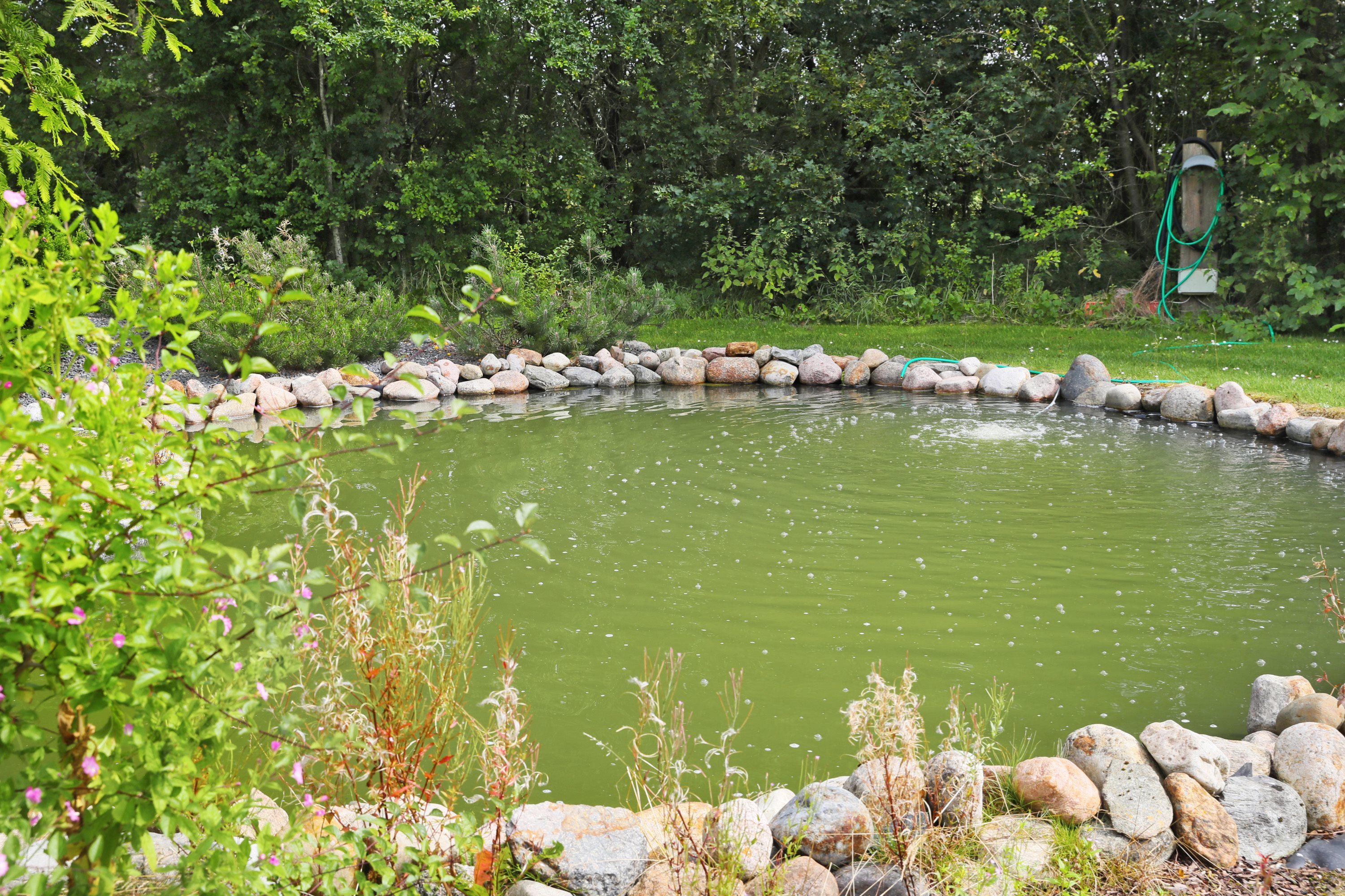 Fremhævet  billede i fuldskærmstilstand. Billede af Brorholtvej 70, 9430 Vadum