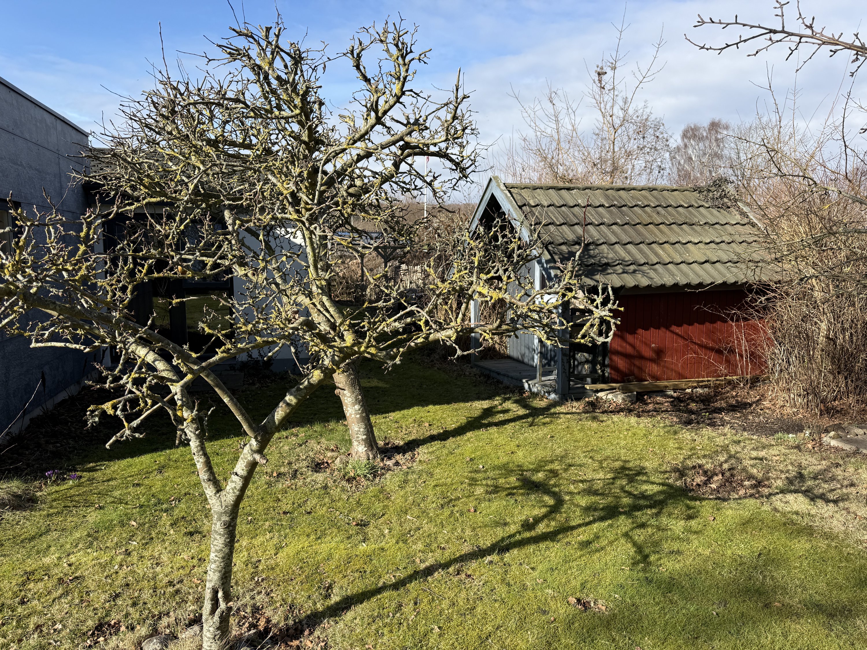 Fremhævet  billede i fuldskærmstilstand. Billede af Villavej 3B, Hou, 8300 Odder