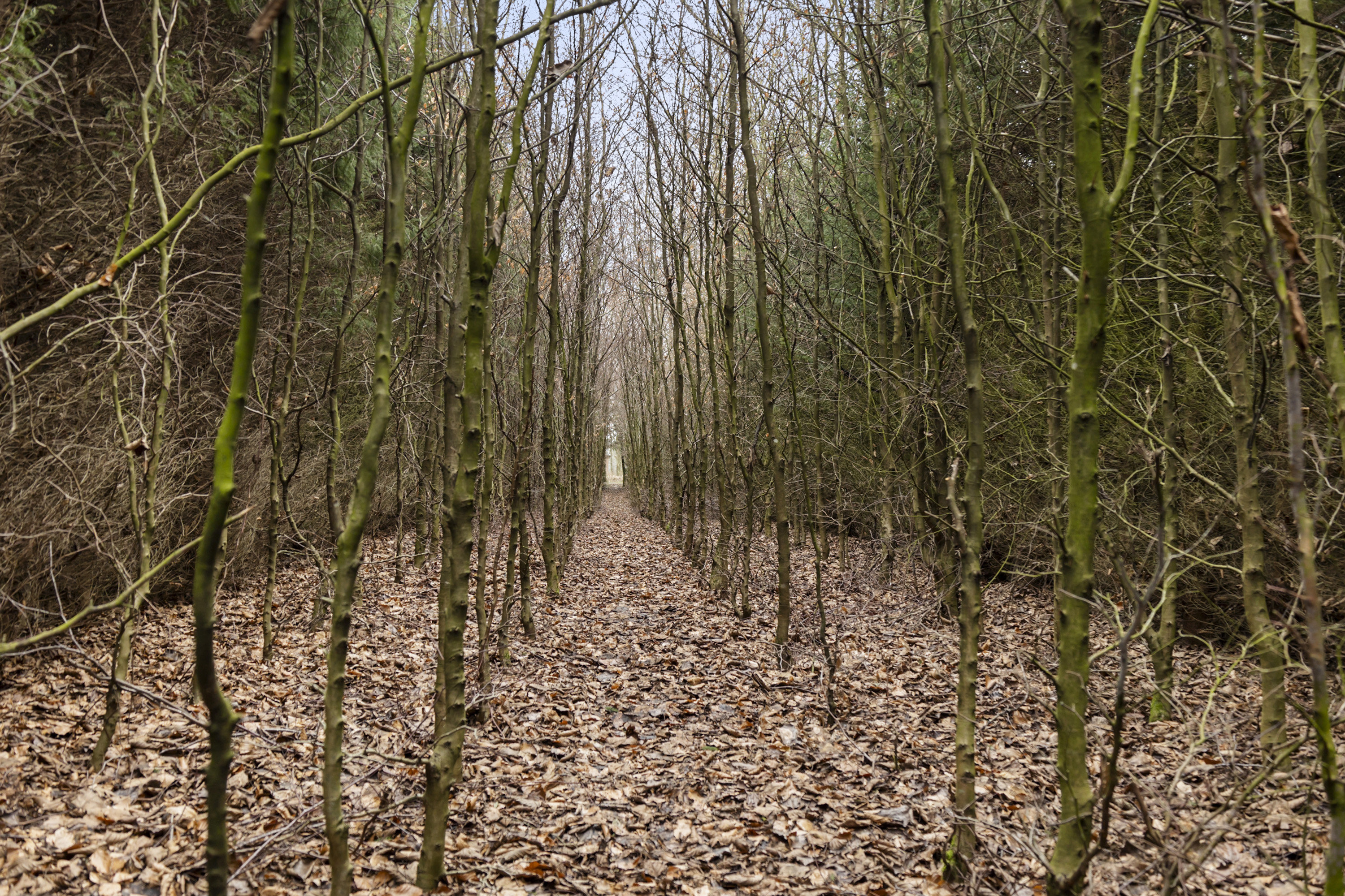 Fremhævet område billede i fuldskærmstilstand. Billede af Klostergade 16, 6622 Bække