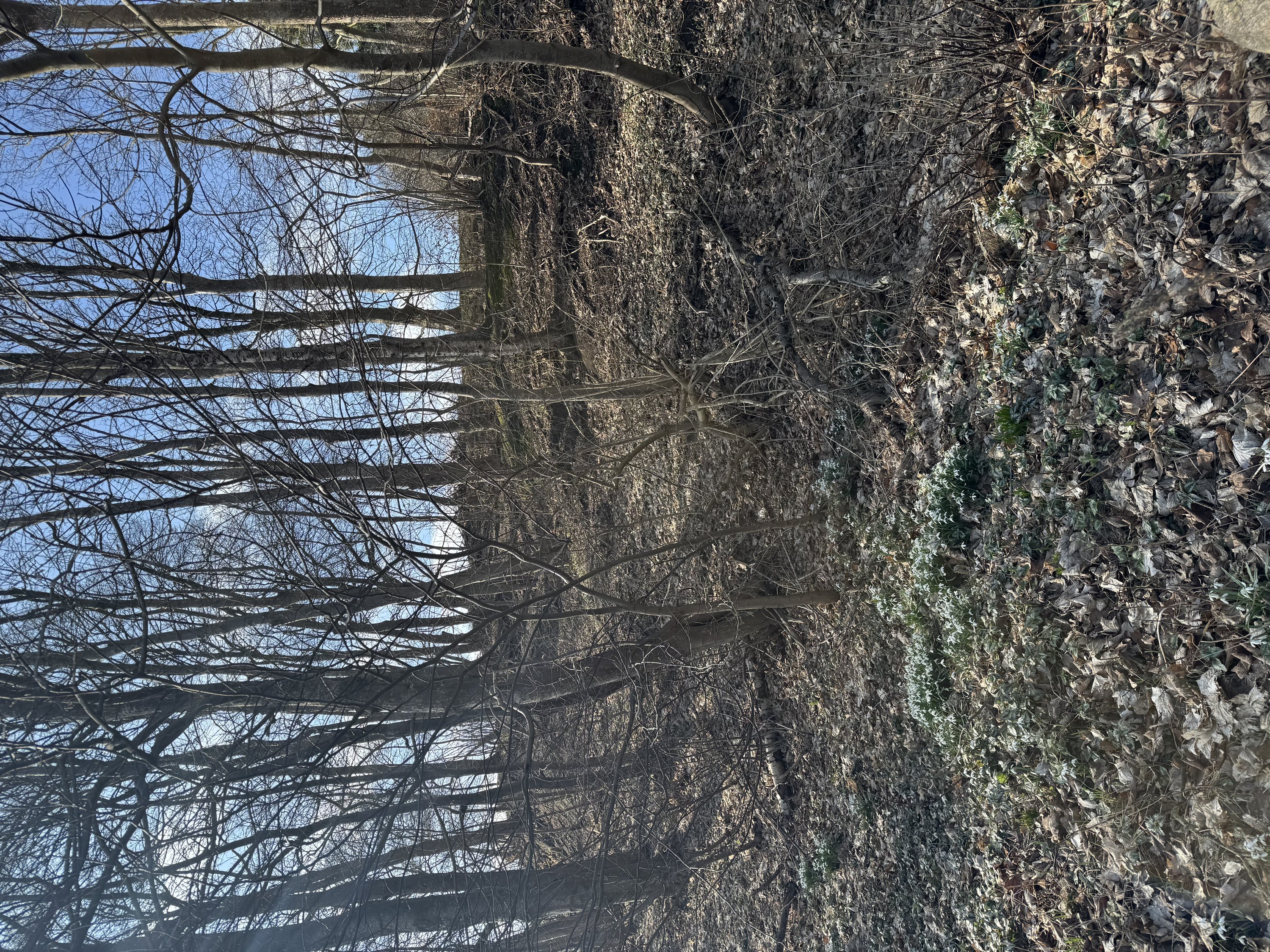 Nørregade 47, Vammen, 8830 Tjele