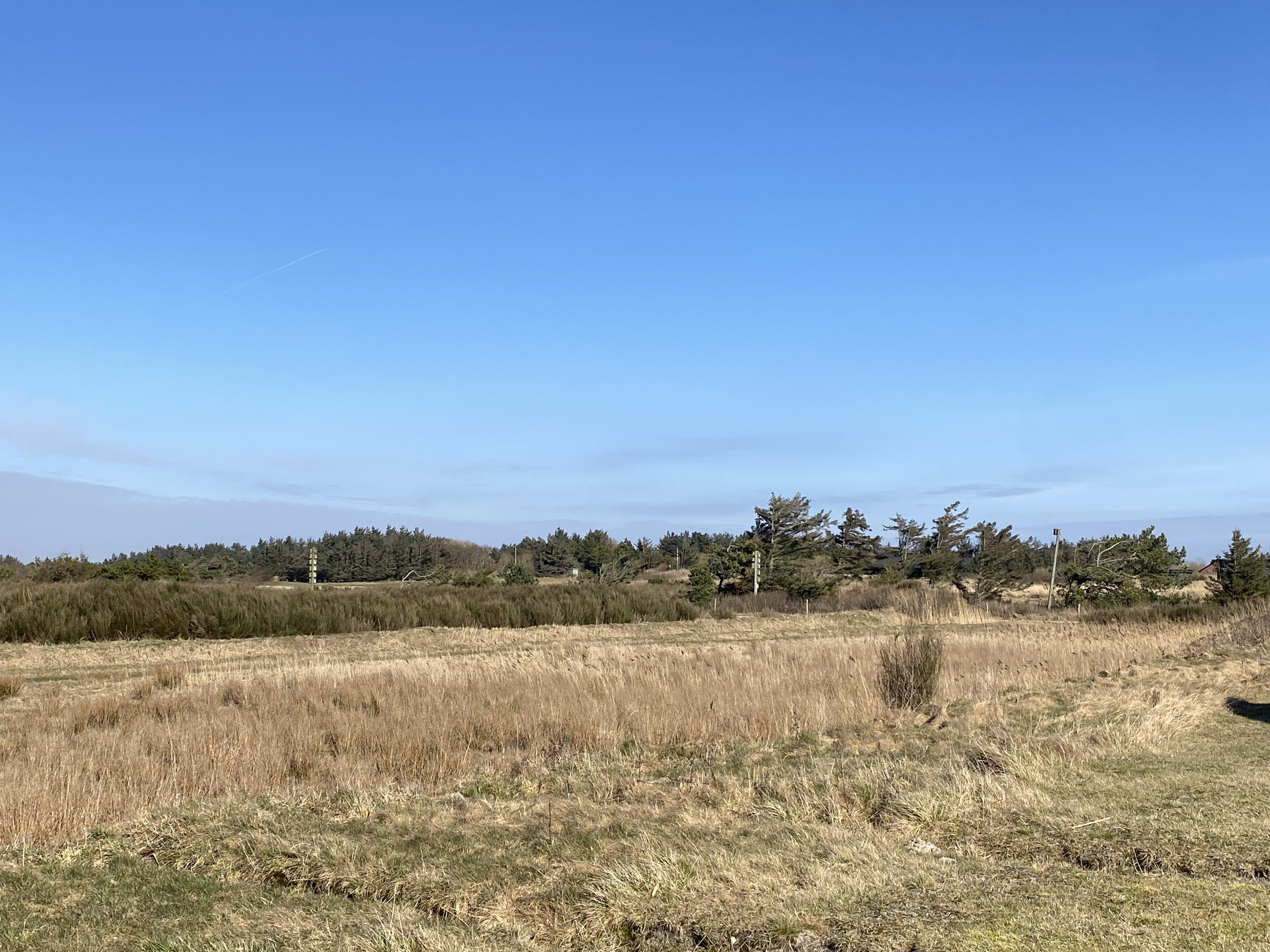 Fremhævet  billede i fuldskærmstilstand. Billede af Fjordstien 170, Søndervig, 6950 Ringkøbing