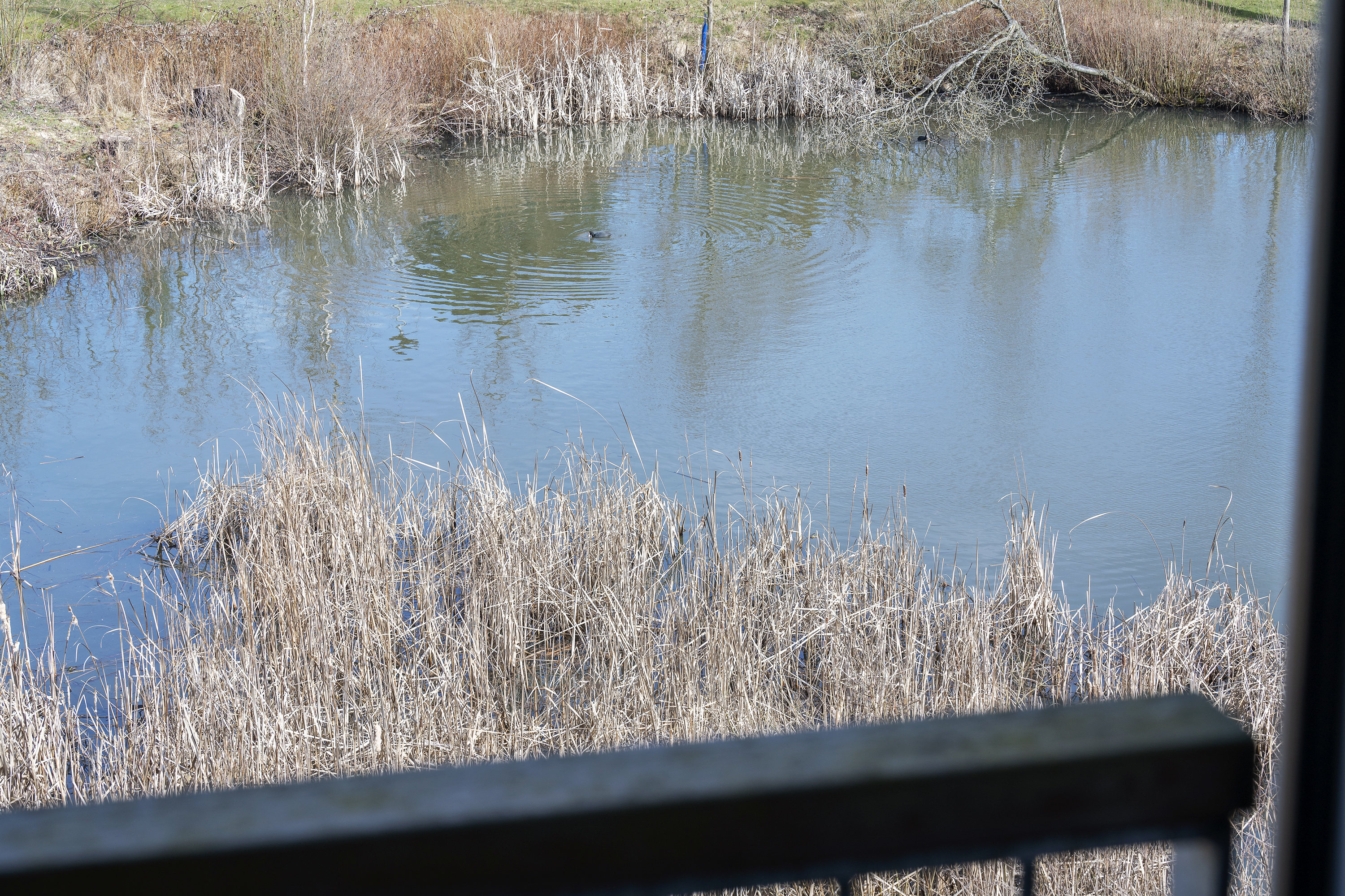 Fremhævet område billede i fuldskærmstilstand. Billede af Ralphs Vænge 45, 2950 Vedbæk