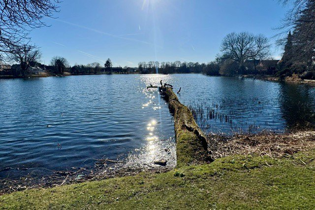 Søholm Park 9, 2900 Hellerup