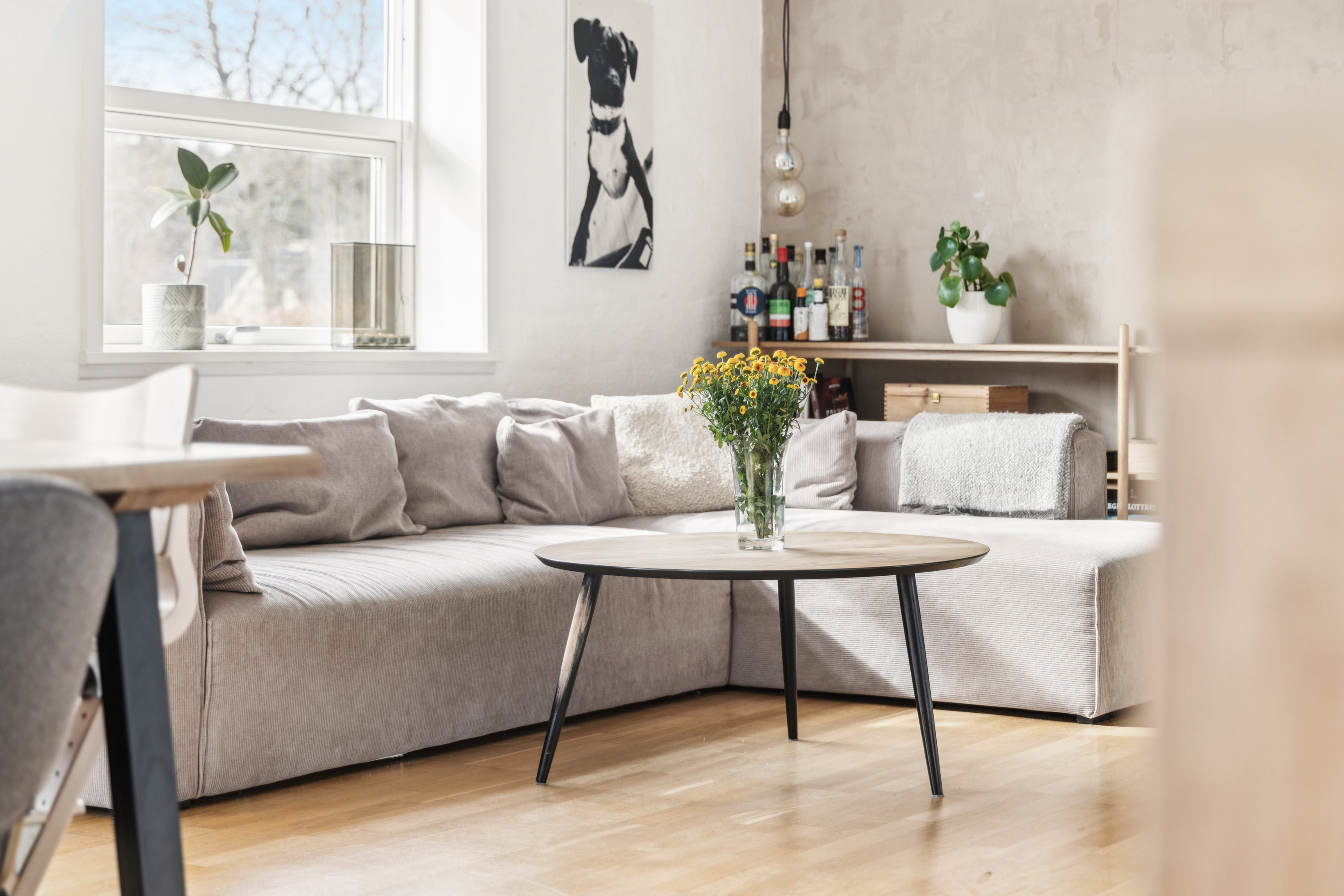 Fremhævet stue billede i fuldskærmstilstand. Billede af Fanøevej 17, Vester Hassing, 9310 Vodskov