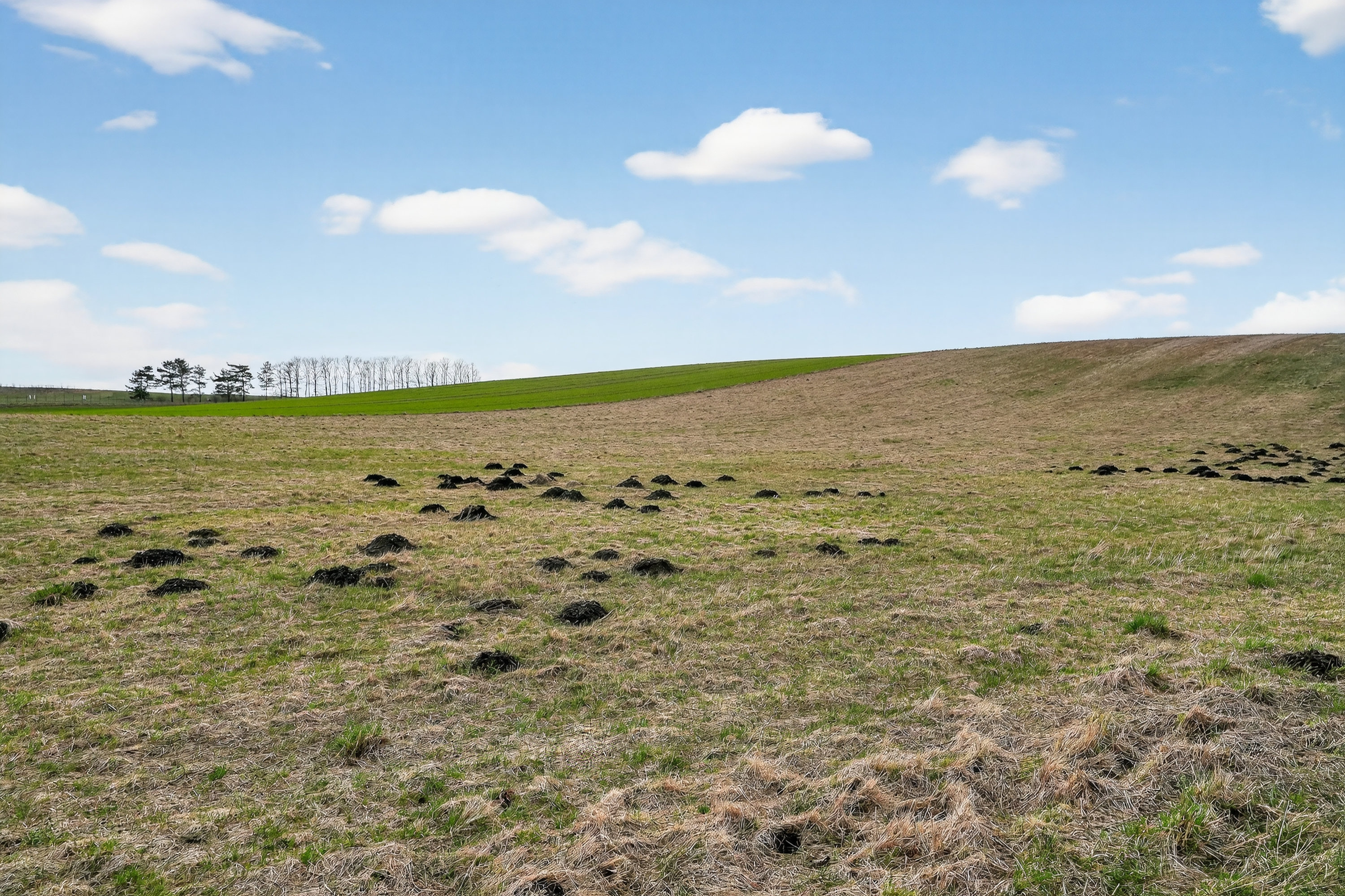 Kvarmløsevej 145, Kvarmløse, 4340 Tølløse