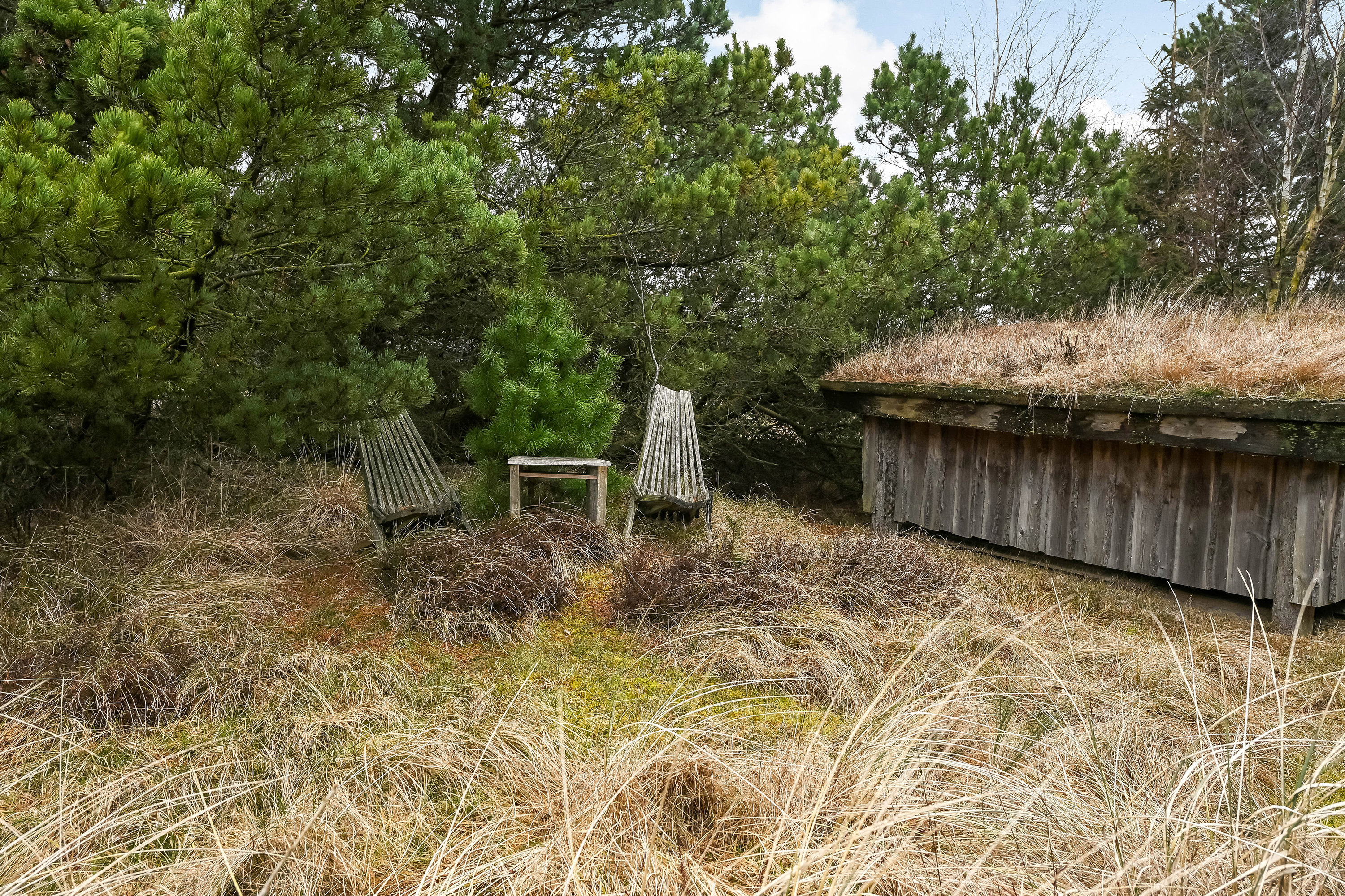 Fremhævet have billede i fuldskærmstilstand. Billede af Lyngvej 4, Grærup, 6840 Oksbøl