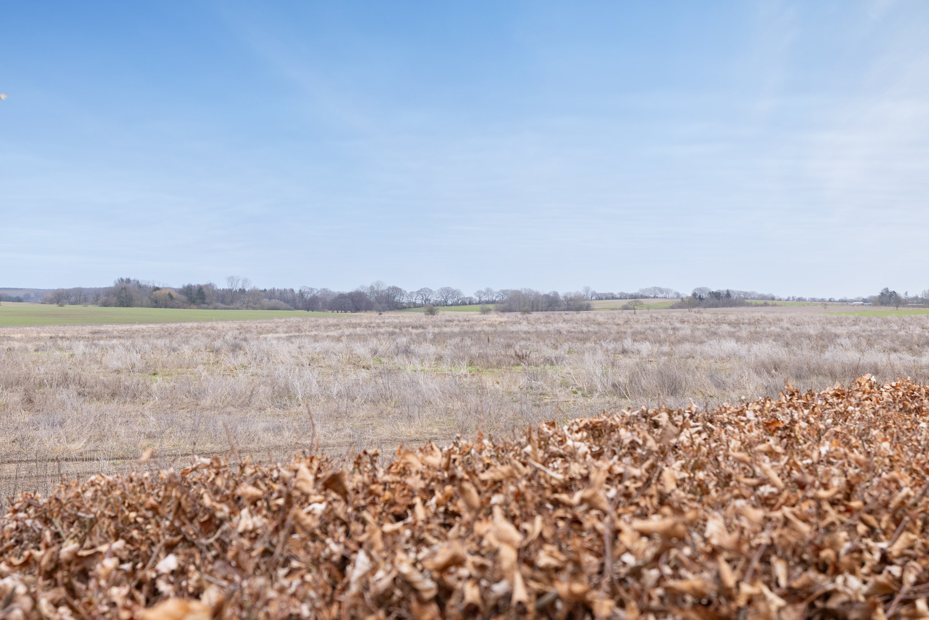 Fremhævet  billede i fuldskærmstilstand. Billede af Møllebakken 80B, Lading, 8471 Sabro