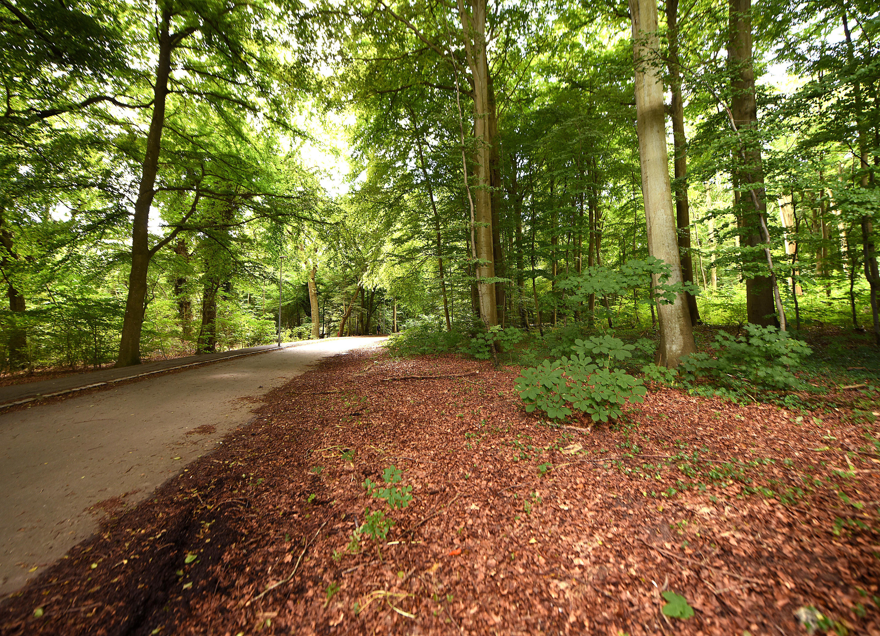 Fremhævet  billede i fuldskærmstilstand. Billede af Østre Skovvej 12S, 8240 Risskov