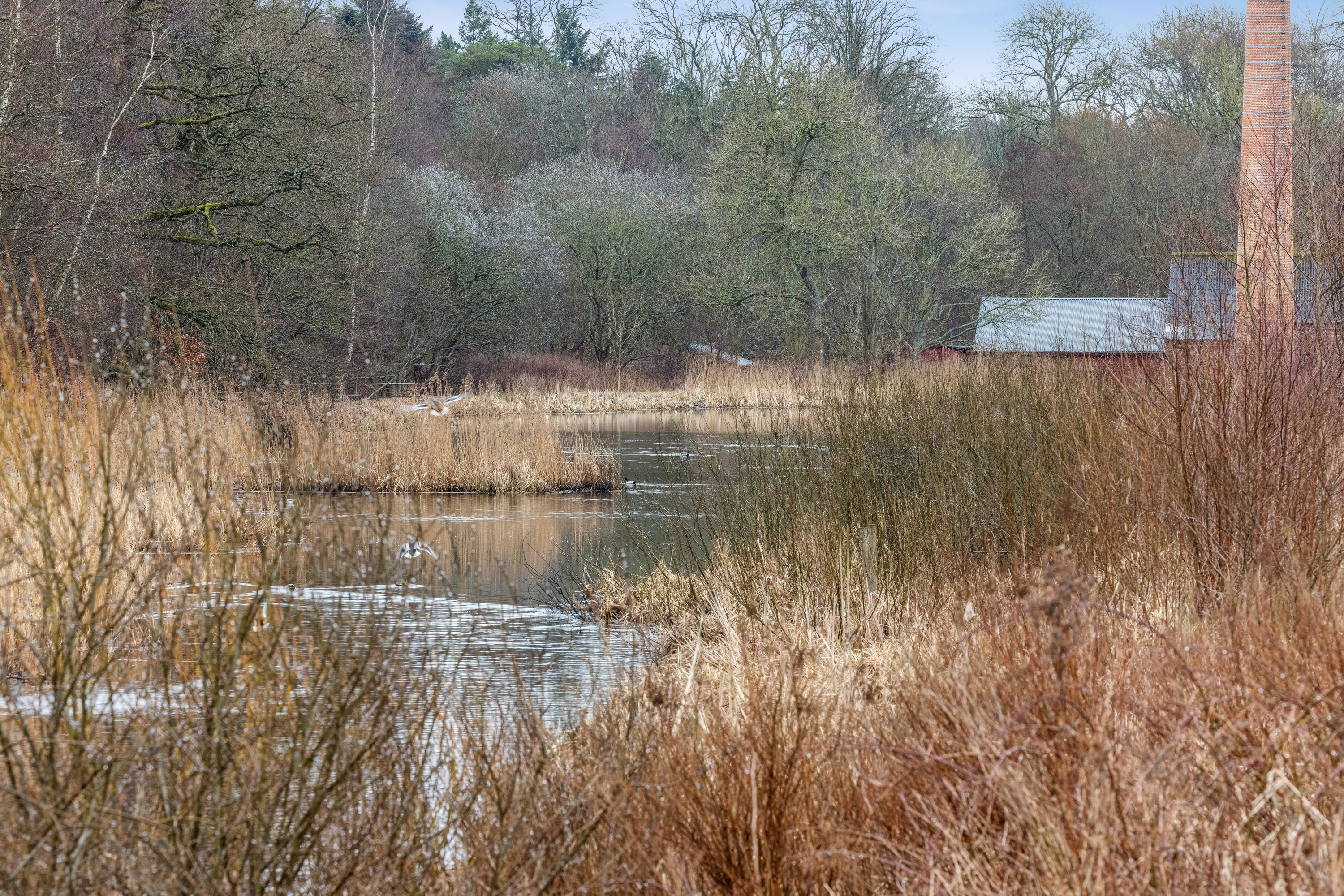 Fremhævet have billede i fuldskærmstilstand. Billede af Vinkelvej 75, Bruunshåb, 8800 Viborg