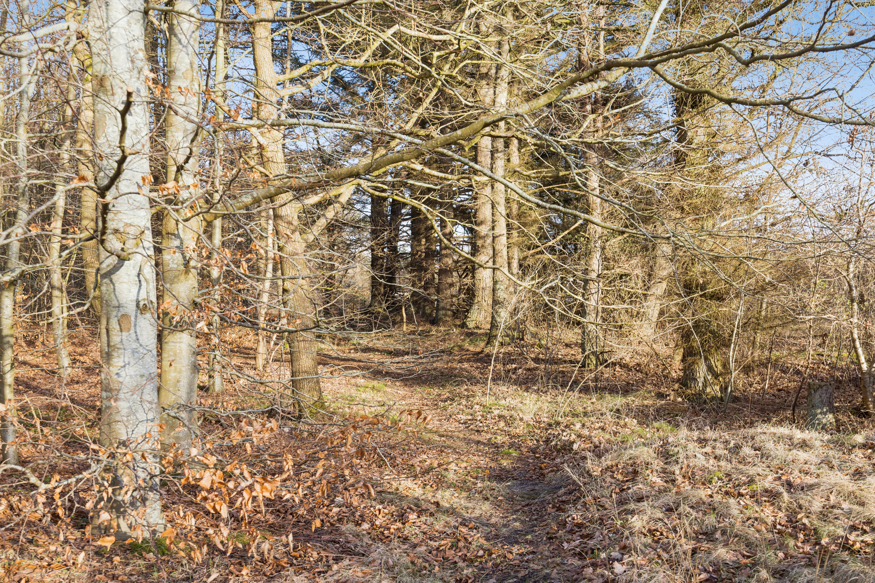 Fremhævet have billede i fuldskærmstilstand. Billede af Hou Vest 3, Hou, 9370 Hals