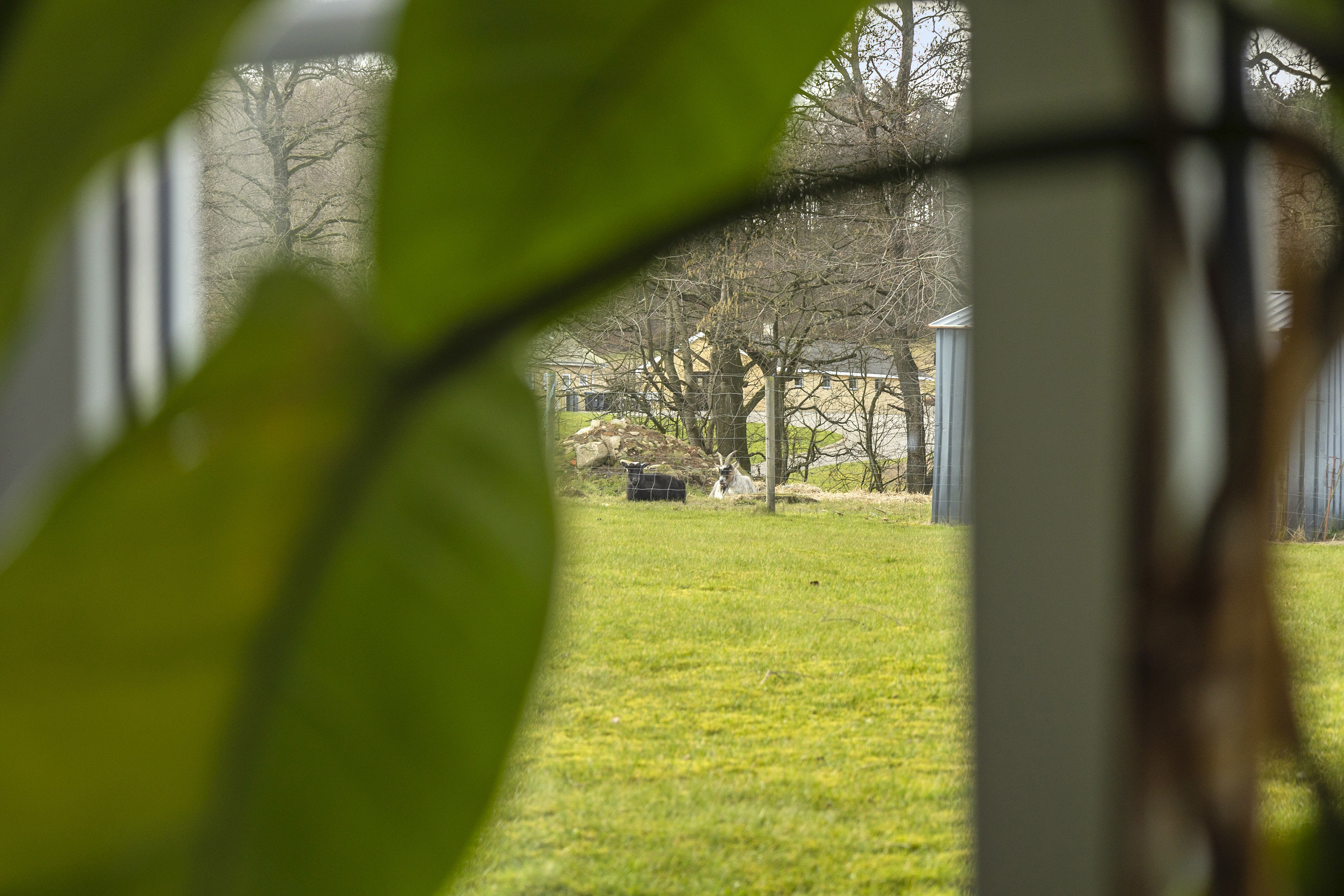 Fremhævet område billede i fuldskærmstilstand. Billede af Københovedvej 8, Dover, 6630 Rødding