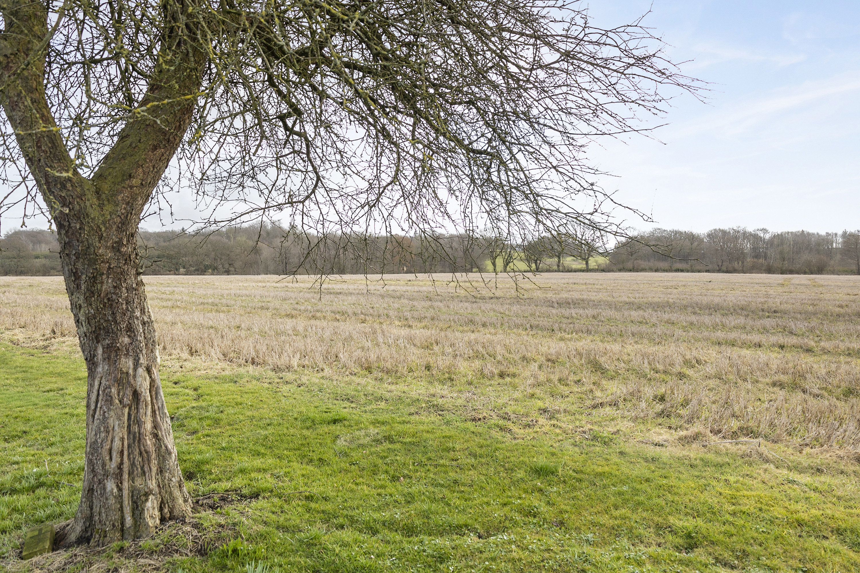 Fremhævet område billede i fuldskærmstilstand. Billede af Københovedvej 8, Dover, 6630 Rødding