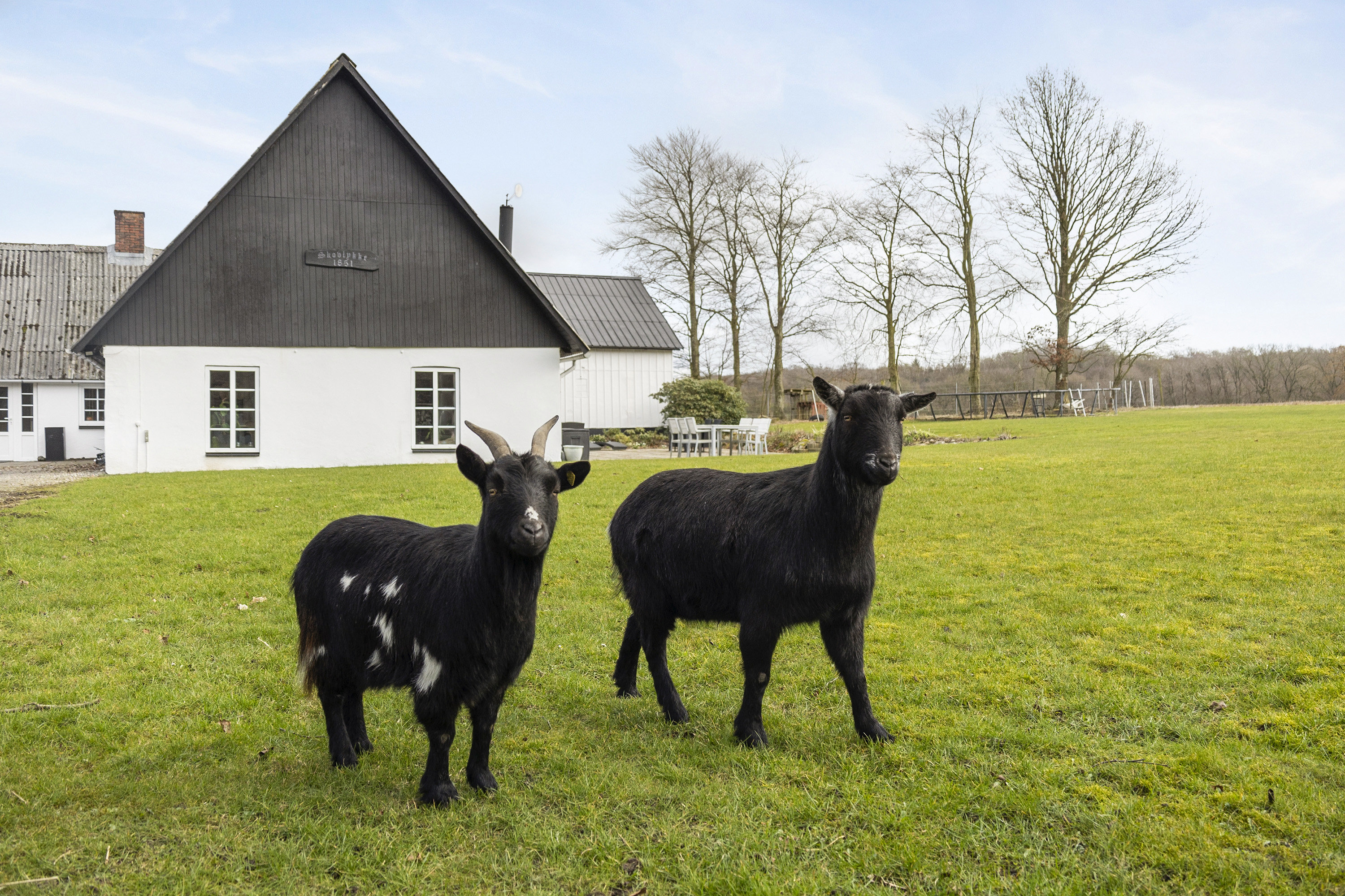 Fremhævet område billede i fuldskærmstilstand. Billede af Københovedvej 8, Dover, 6630 Rødding