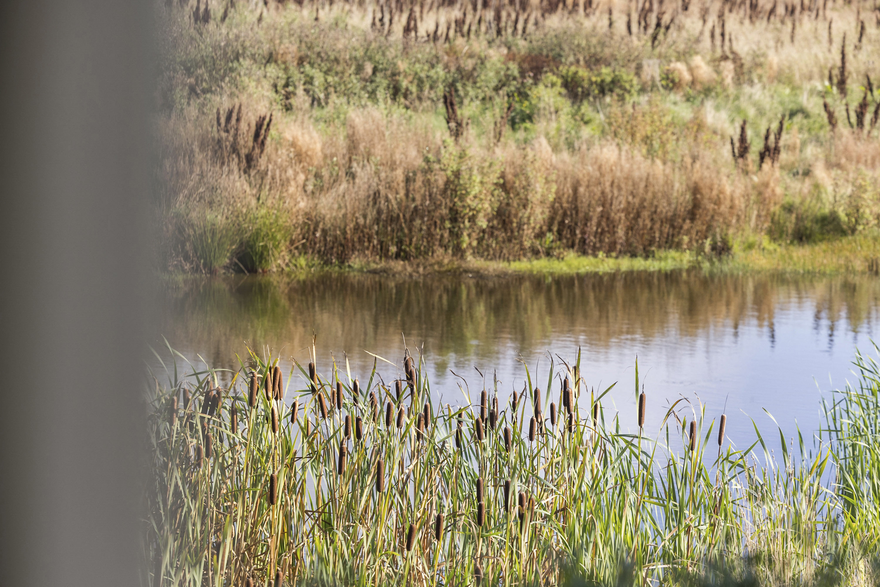 Fremhævet  billede i fuldskærmstilstand. Billede af Knøsgårds Alle 64, 9440 Aabybro