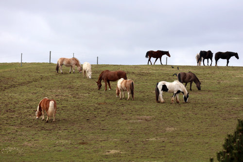 Fremhævet område billede i fuldskærmstilstand. Billede af Præstehaven 11, Hylke, 8660 Skanderborg