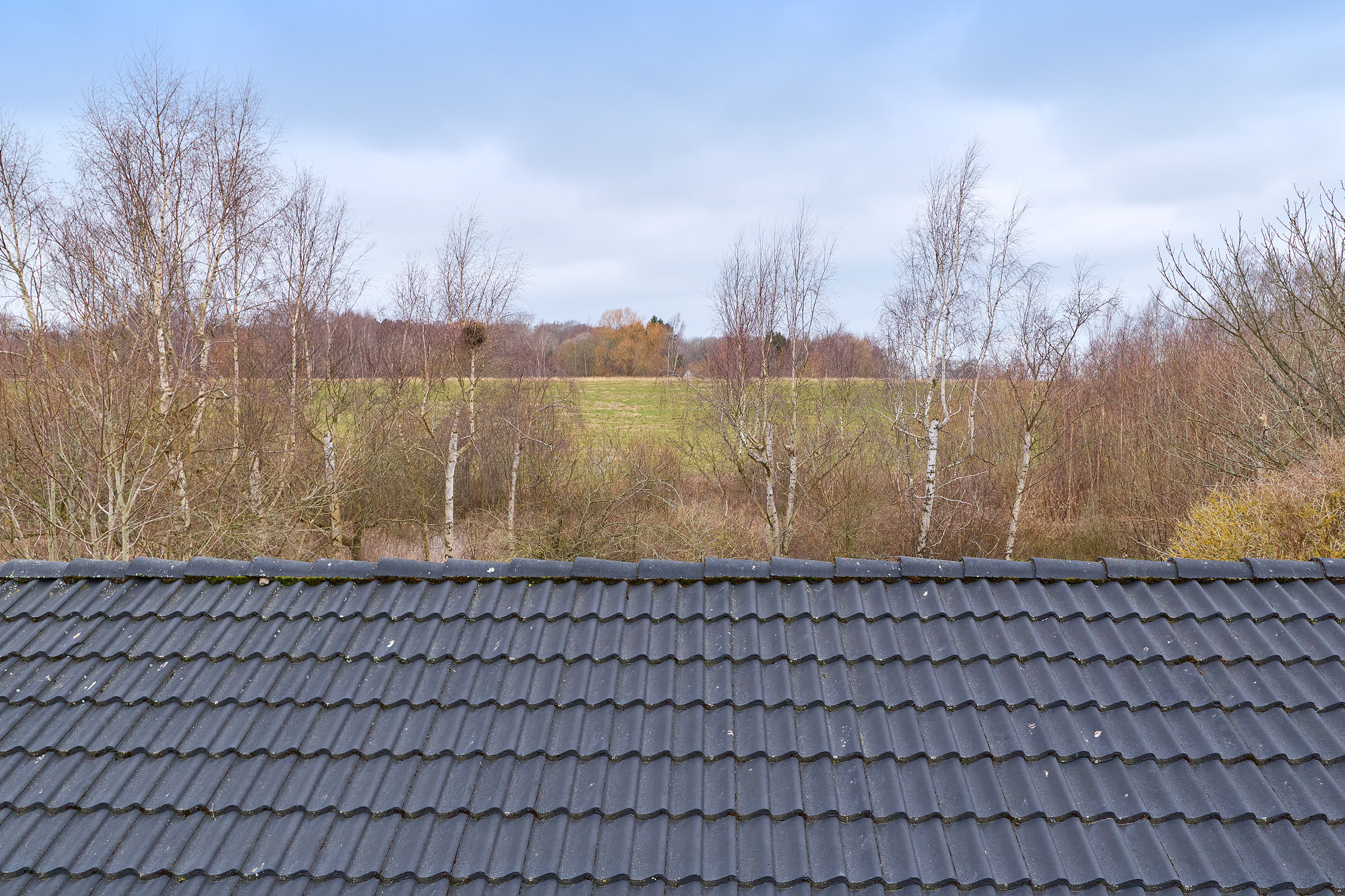 Fremhævet ejendommen billede i fuldskærmstilstand. Billede af Græsted Vænge 45, 3230 Græsted