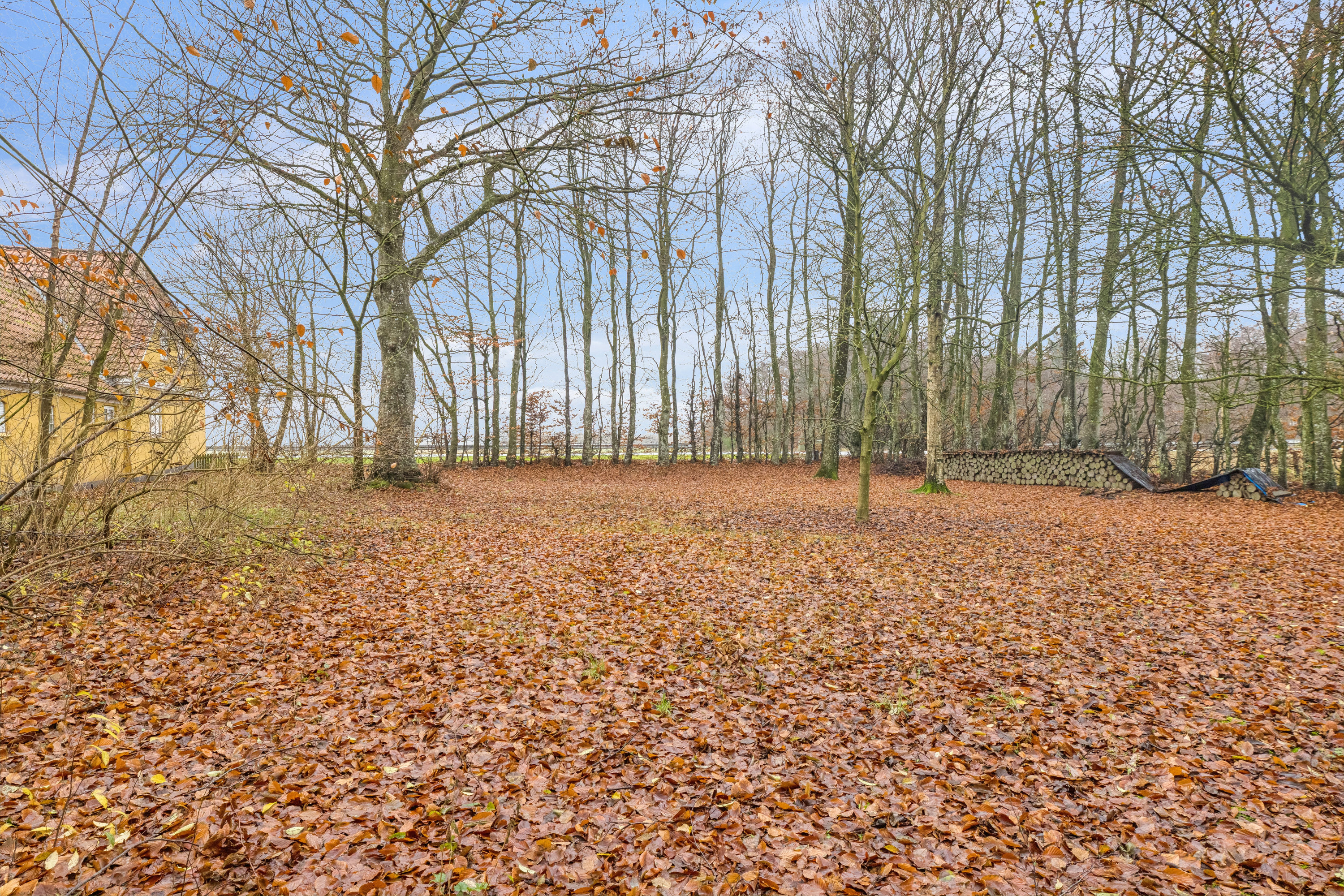 Fremhævet grund billede i fuldskærmstilstand. Billede af Haderslevvej 140, Skallebæk, 6760 Ribe